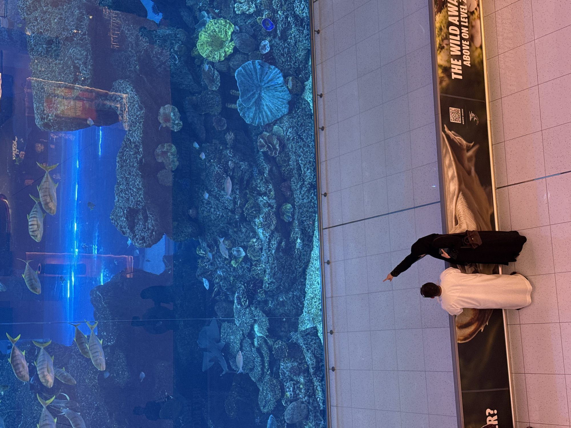 The image shows an overhead view of two people, a woman in a black abaya pointing towards a large aquarium, and a man in traditional white Emirati dress standing next to her, both observing the underwater scene. The aquarium, filled with fish and coral, is located at the Dubai Mall in Dubai, United Arab Emirates. A sign for "The Wild Always" is visible beside them on the tiled floor.
