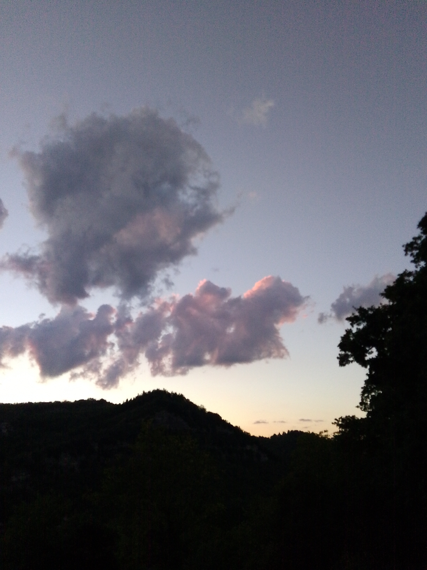 The image captures a twilight sky over a silhouetted mountainous landscape. Dark, dense foliage forms the foreground, obscuring any details of the ground. The sky transitions from a soft lavender near the horizon to a muted blue overhead. Scattered clouds, some tinged with pink from the setting sun, drift across the sky. On the right side of the frame, the dark silhouette of a large tree branches out against the sky. The scene is devoid of human presence or any identifiable man-made structures. The location is not specified in Montesilvano, Italy, nor are there any recognizable landmarks to indicate such a location.