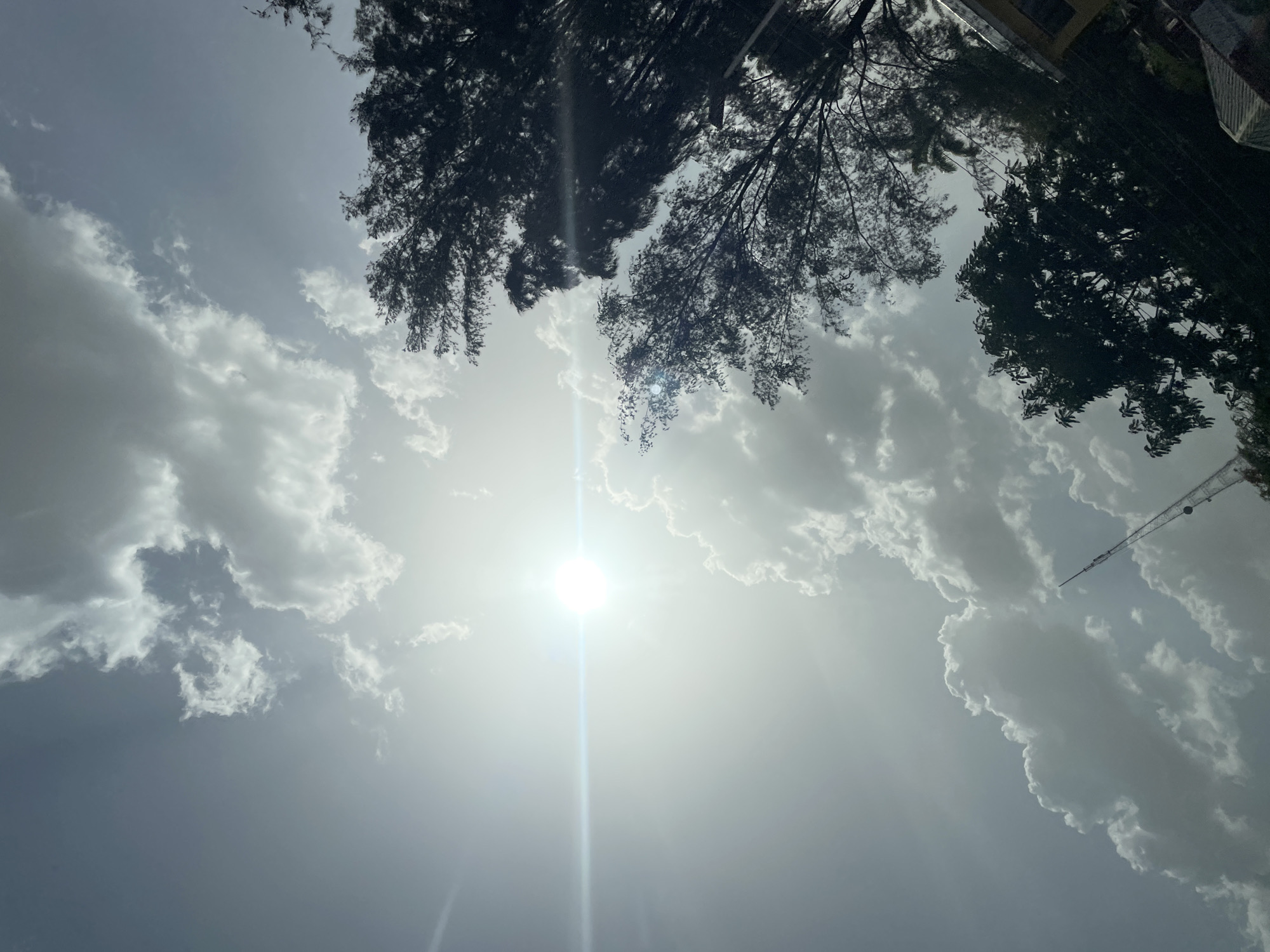 The image captures an upward view of a bright, sunny sky with scattered clouds and dark tree silhouettes. The sun is the dominant feature, positioned centrally and radiating intense light, causing a prominent lens flare that streaks vertically across the frame. Its brilliance is such that it overexposes the immediate area, highlighting the white and bright gray tones of the surrounding cumulus clouds.
Numerous clouds of varying sizes and shapes are visible across the sky, ranging from fluffy white to darker gray, suggesting some depth and thickness. They appear to drift across the bright blue-gray expanse of the sky.
In the upper section of the image, the dark, silhouetted canopies of several trees are prominent. Their dense foliage and branches are visible against the bright sky, creating a stark contrast. On the far right, a faint, slender structure, possibly a communication tower or antenna, can be discerned extending upwards into the cloud-dotted sky.
The scene depicts a bright midday or early afternoon, characterized by strong sunlight. The weather is partly cloudy, with the sun breaking through to illuminate the sky. There are no people or specific events occurring. The foliage of the trees is consistent with a tropical or subtropical environment, aligning with the provided location context of Jos, Nigeria. No visible text is present in the image.