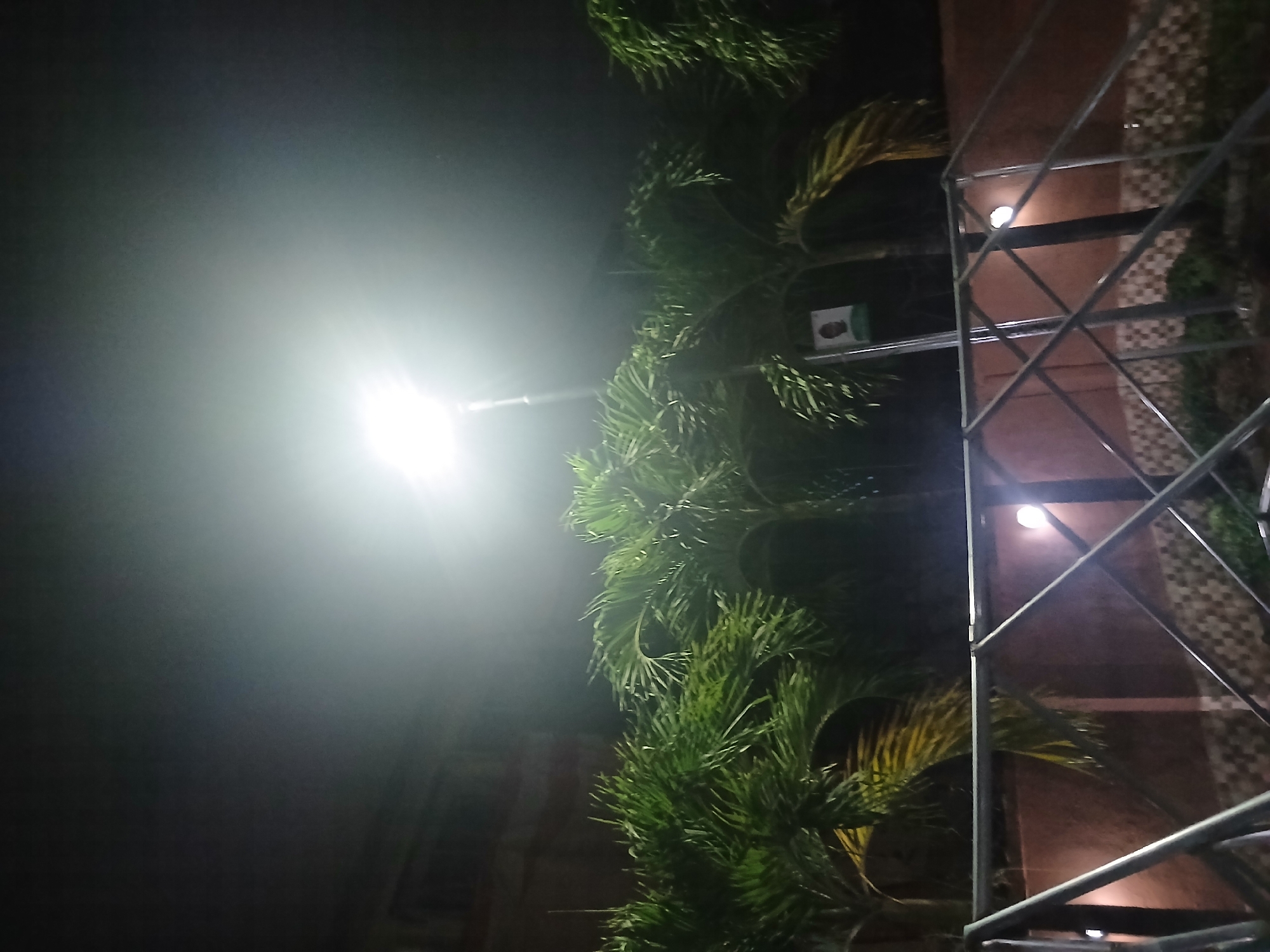 The image shows a night scene in Lagos, Nigeria. A bright street light illuminates a section of the frame, obscuring details in its vicinity. Adjacent to the light, a tall palm tree is visible, its green fronds reaching towards the top of the frame. To the right, a metal structure, possibly scaffolding, stands against a building with a textured, checkered facade. Two lights are attached to the structure.