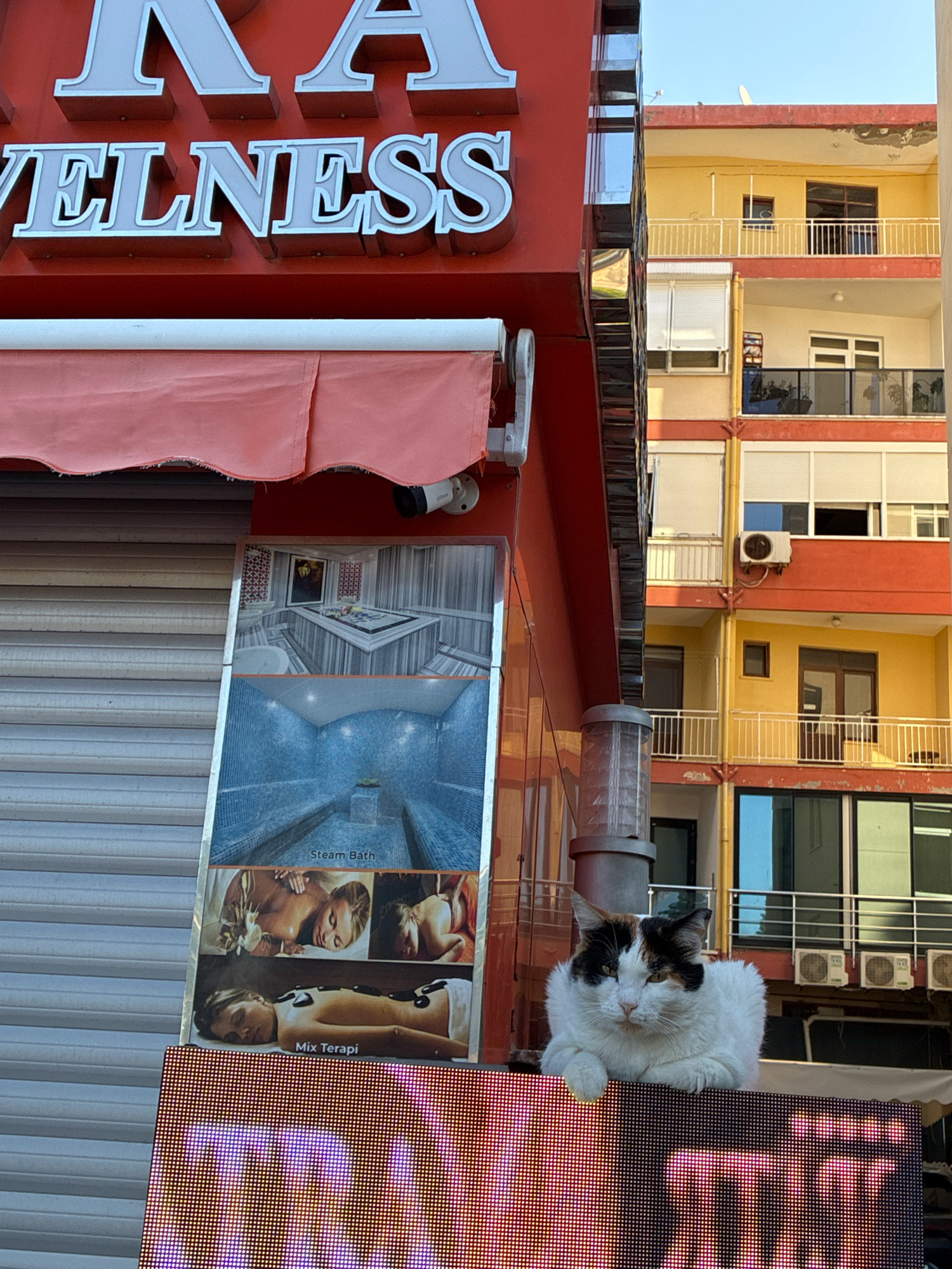 A tri-colored cat with black, white, and ginger patches sits on top of a bright LED sign. The cat is in the foreground and is looking towards the camera. Behind the cat, a red building with illuminated white lettering that reads "WELLNESS" is visible. A folded orange awning is attached to the building. Below the awning, a rolling metal shutter is partially visible. To the right of the red building, a multi-story yellow and orange building with balconies and windows is present. Several air conditioning units are mounted on the yellow building. The sky is clear and blue, indicating a sunny day. The scene appears to be on a street in Alanya, Turkey.