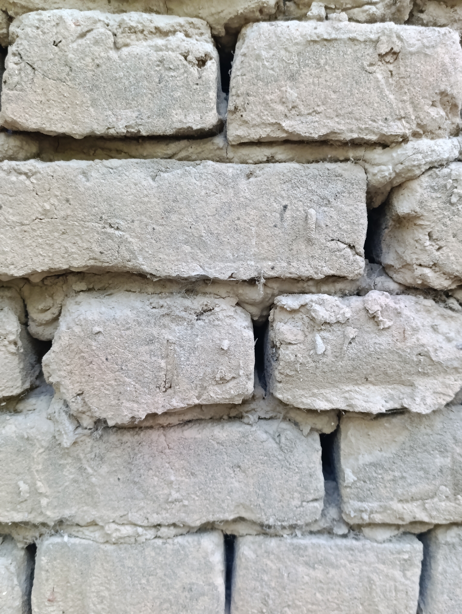 This is a close-up, eye-level, vertical shot of a weathered brick wall. The bricks are rectangular and appear to be made of a light-colored, porous material, possibly mud brick or a similar material. The mortar between the bricks is rough and uneven, with some areas showing gaps and cracks. Fine strands of cobweb are visible in the mortar lines and on the surface of some bricks. The overall impression is of an old, somewhat deteriorated structure. The image does not contain any people, actions, or interactions. The environment is implied to be outdoors due to the texture and weathering of the materials. The location is described as Halkabad, Uzbekistan.