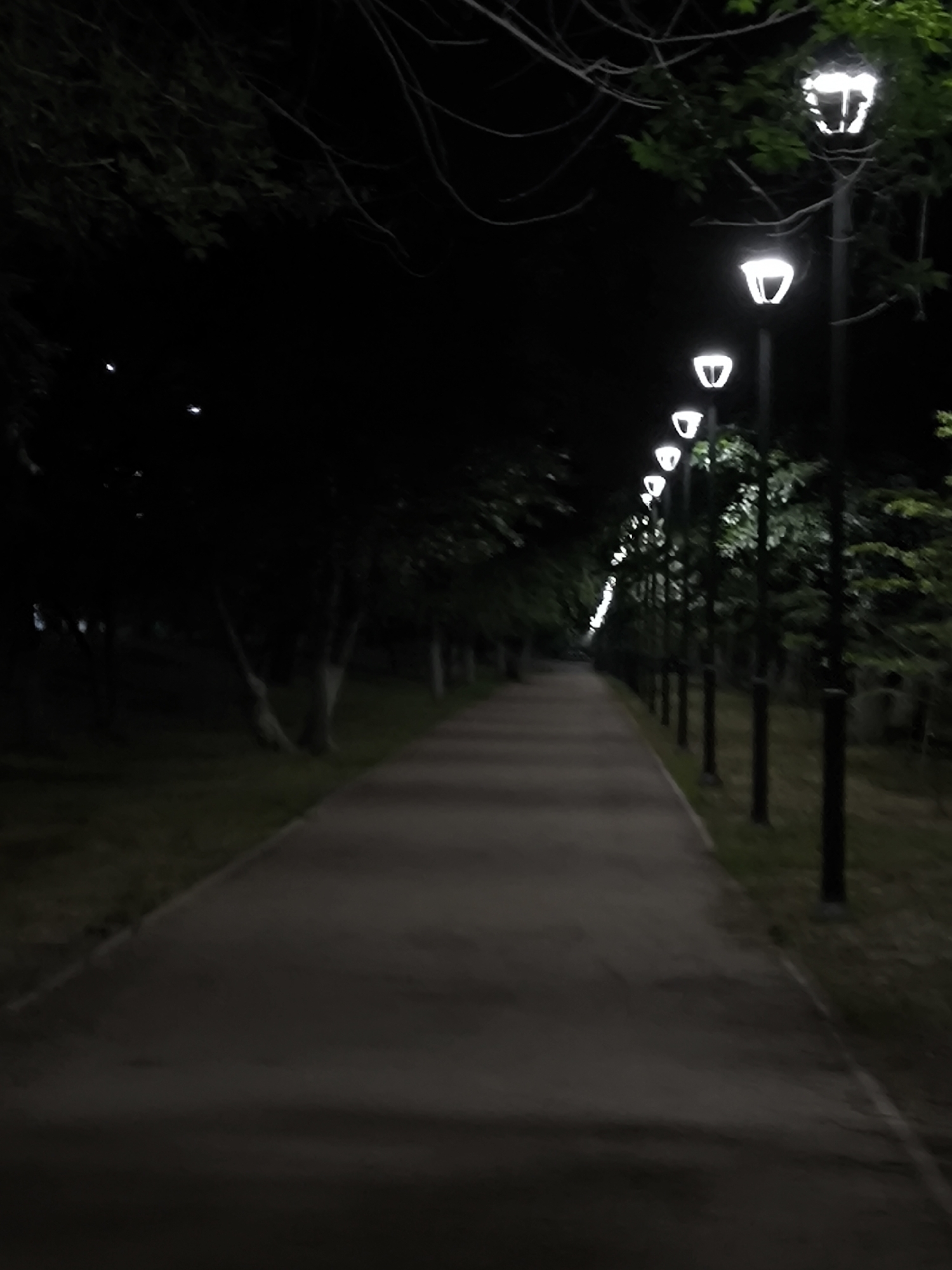 A paved pathway runs through a park at night, lined with lampposts that illuminate the scene. The pathway appears to be made of asphalt or a similar material, and it curves gently to the right as it recedes into the darkness. On either side of the pathway are trees with dark green foliage, and patches of grass. The lampposts are spaced at regular intervals, and their white light casts a glow on the surrounding area. The overall impression is one of a serene and tranquil evening in an urban park.