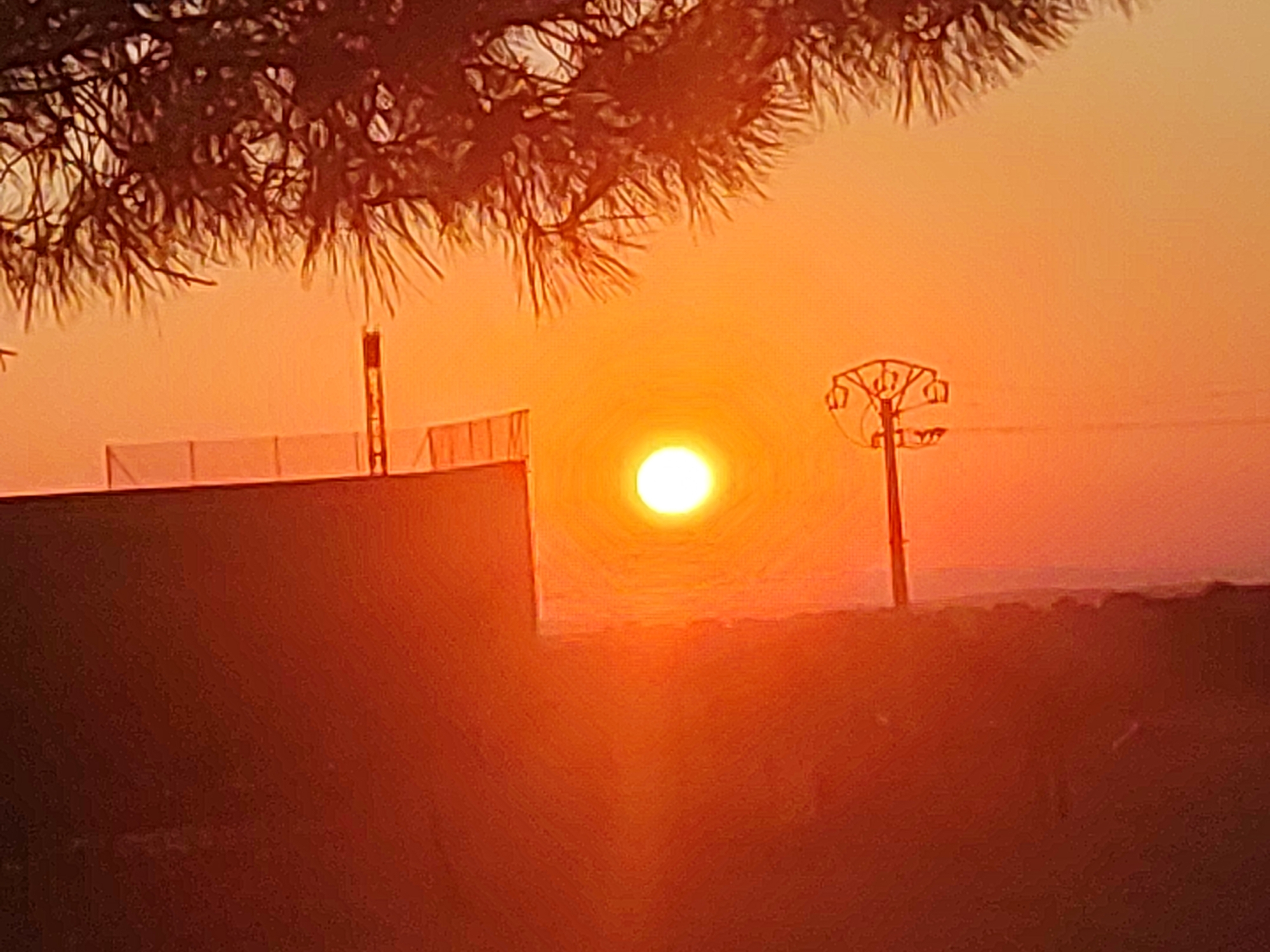 The image depicts a sunset over a rural or semi-rural landscape, possibly in or around Sobradillo, Spain. The sun, a bright white orb, is prominently positioned in the center of the frame, casting a warm orange glow across the sky. Silhouetted against the sunset are several objects. In the foreground, a dark, textured surface, possibly a wall or embankment, occupies the lower portion of the image. To the left, a low, rectangular structure with a fence-like top is visible. A tall, slender pole with a branching structure at its top, resembling a utility pole or lighting fixture, stands to the right of the sun. Overhead, the dark, feathery branches of a tree or shrub partially obscure the sky. The horizon line is faintly visible in the distance, suggesting a flat or gently rolling terrain. The overall atmosphere is serene, characterized by the warm hues of the setting sun.