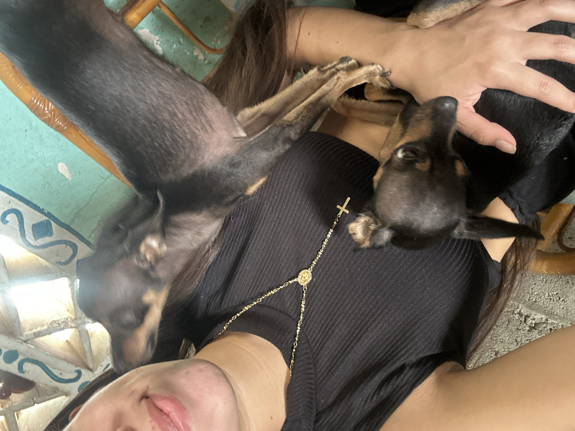 The image depicts a woman wearing a black, ribbed, sleeveless top and a gold necklace with a cross pendant. She is holding two small dogs, one with its head near her face and the other nestled in her arms. The dogs are dark brown and black with tan markings. The environment appears to be outdoors, with a turquoise-colored wall and a wooden chair visible in the background. The lighting suggests it is daytime. The scene is set in Juan Griego, Venezuela.