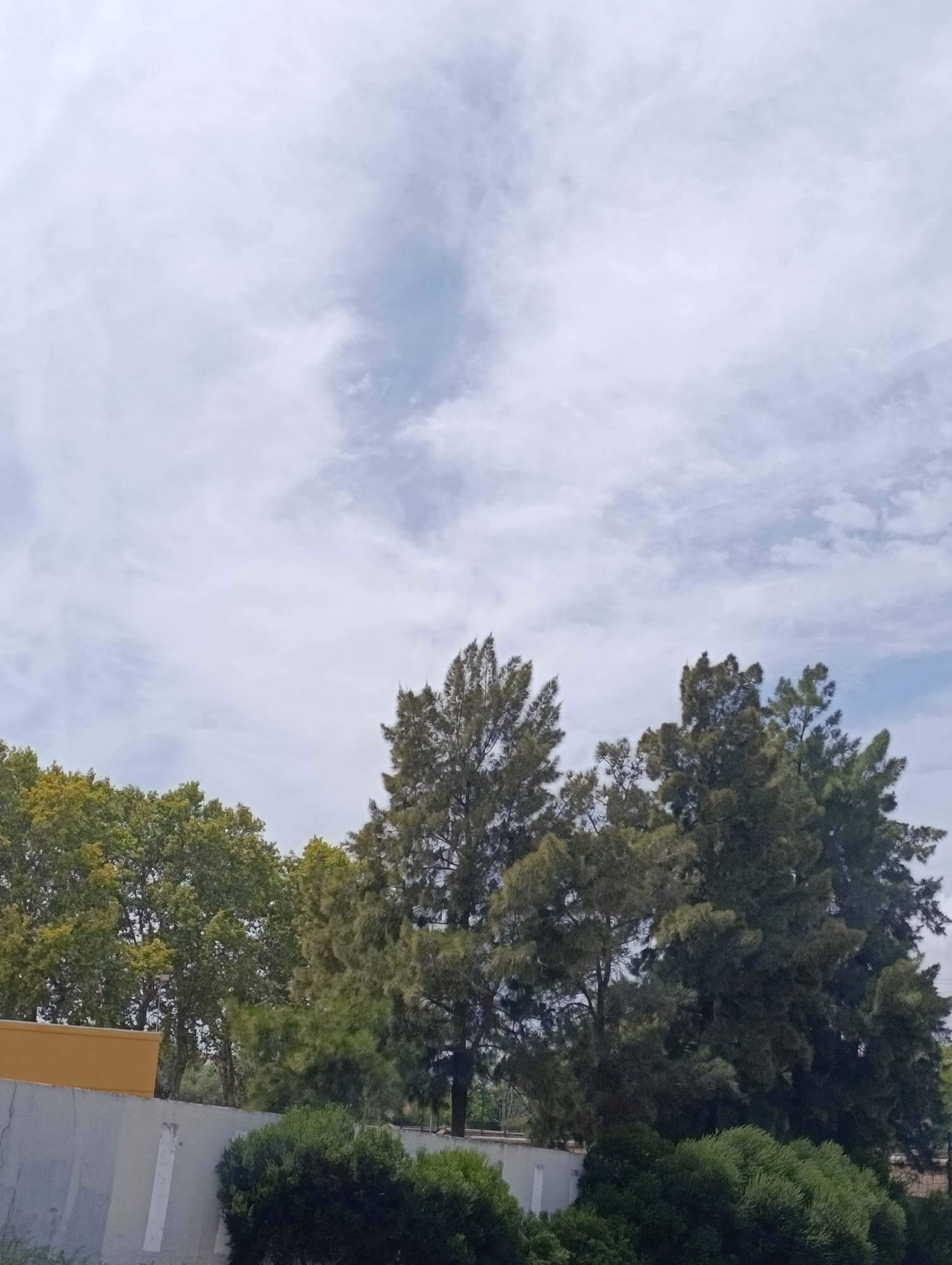 The image depicts an outdoor scene with a cloudy sky and several trees. In the foreground, a light grey concrete wall runs horizontally, with a yellow structure to its left and dense green bushes below it. Behind the wall, a cluster of diverse trees with green foliage fills the middle ground. The sky above is largely overcast with white and grey clouds, with patches of blue visible. The scene appears to be located in an urban or suburban area, likely Setúbal, Portugal, given the context. No people or discernible actions are present in the image.