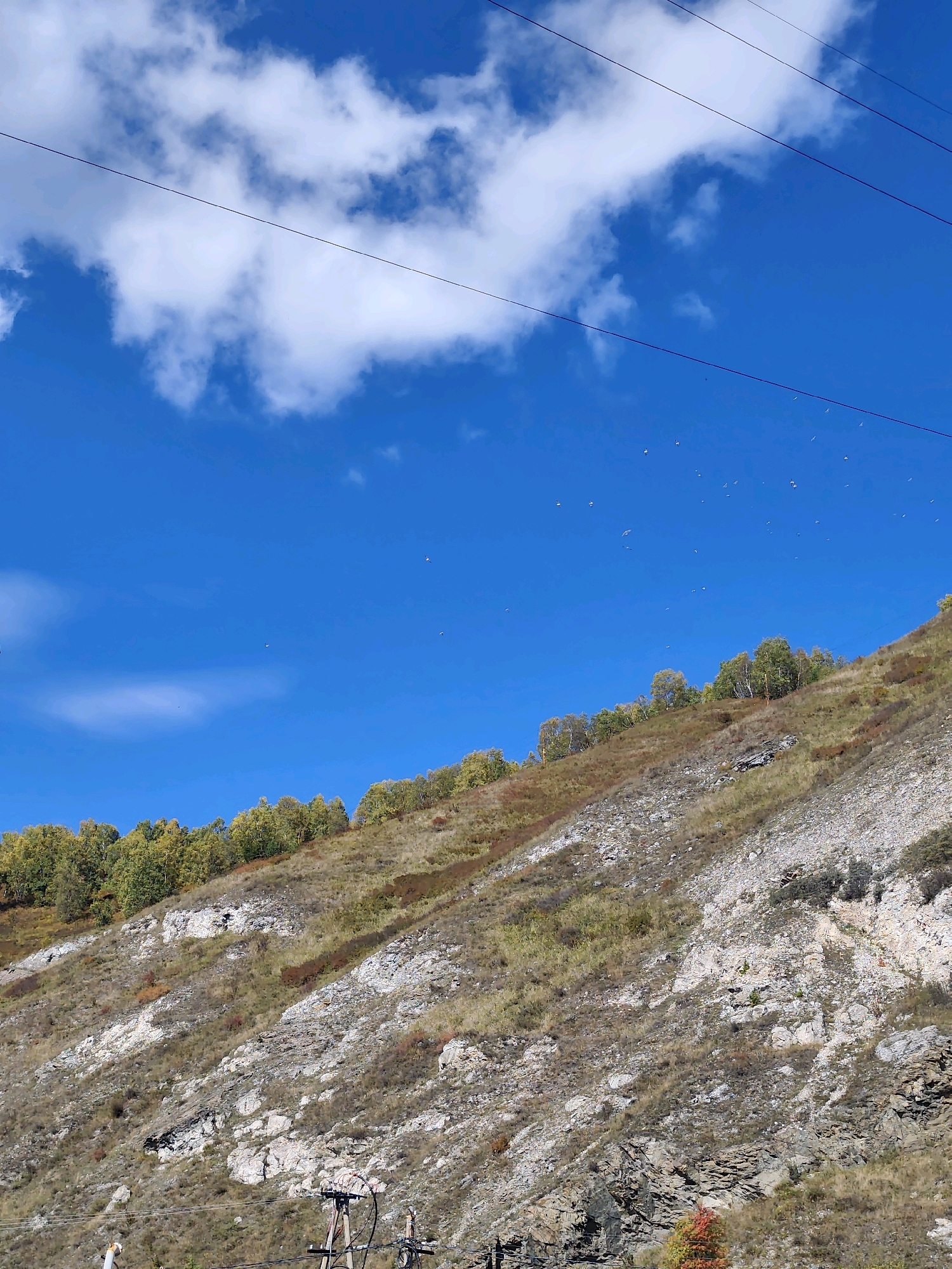 An upward-angled, outdoor, full shot captures a steep, rocky hillside covered in dry grass and scattered patches of foliage, some of which display autumn colors. Along the crest of the hill, a line of deciduous trees with yellow and green leaves marks the transition to a bright blue sky. Several power lines stretch diagonally across the upper portion of the frame. Numerous small birds are visible scattered in the sky, appearing as tiny dark specks against the blue. The scene is set in Baikal, Russia, and appears to be a natural landscape with man-made infrastructure.