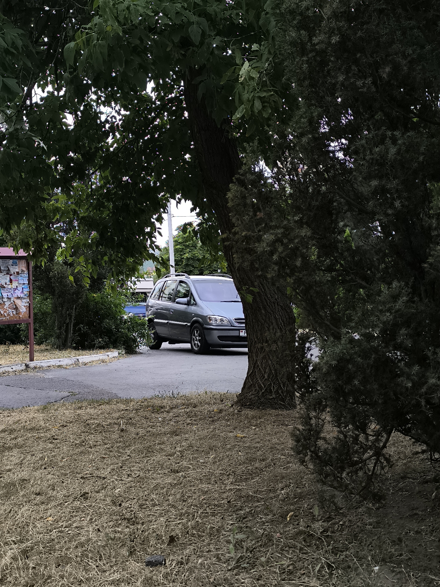 A gray Opel Zafira minivan is parked on an asphalt surface, partially obscured by trees and foliage. The minivan is facing towards the right of the image. To the left of the minivan, a weathered bulletin board with various papers is visible. The ground is covered with dry grass and leaves. In the background, there are more trees and some buildings. The overall scene appears to be an outdoor urban environment in Rybnitsa, Moldova.