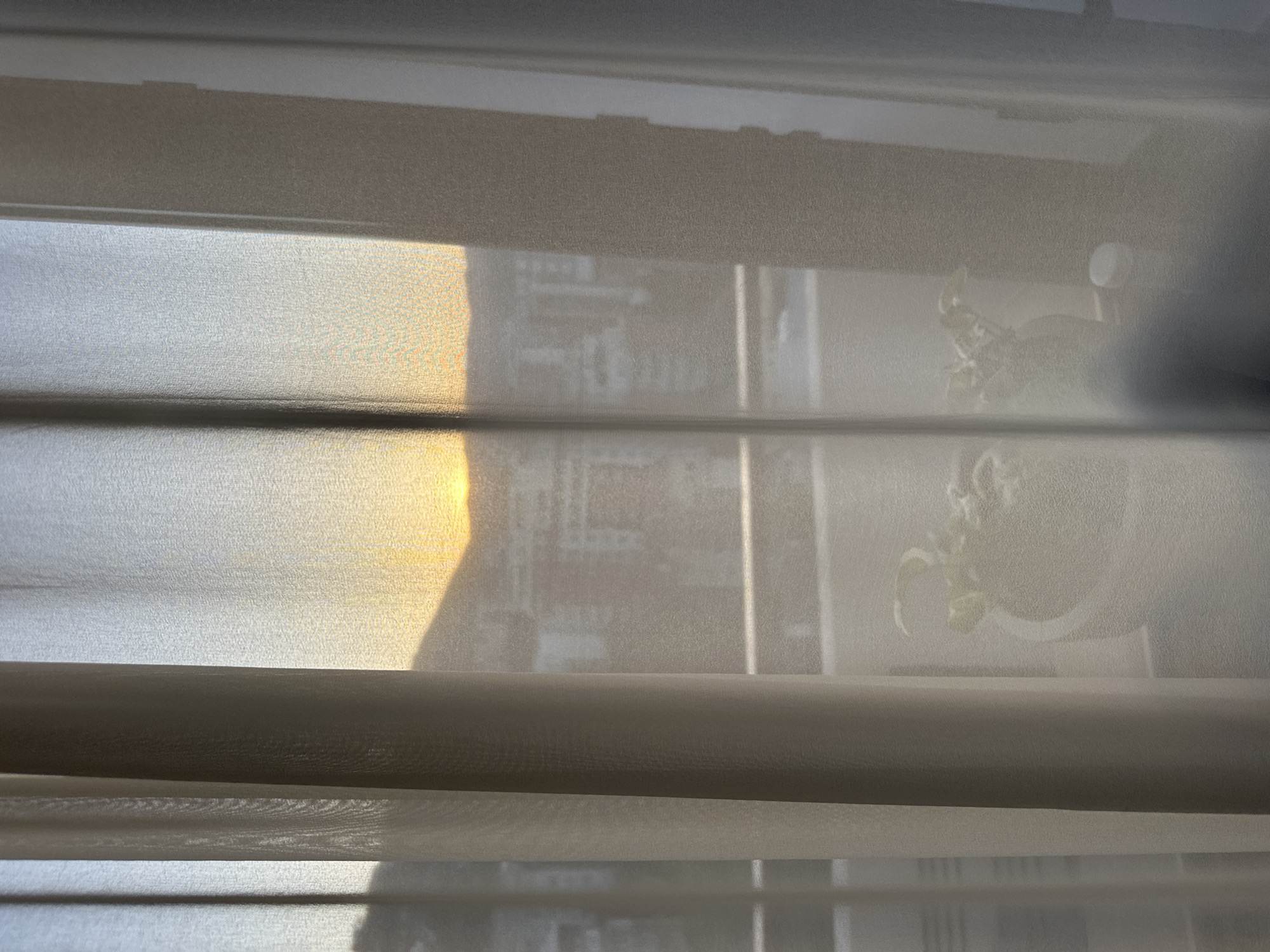 A close-up indoor shot through closed horizontal blinds reveals a view of a building and a plant. The light source on the left side of the frame suggests that it is daytime. The blurred details, filtered through the blinds, suggest a residential setting, possibly in Tbilisi, Georgia. The building outside has multiple floors. The plant inside the window may be a potted houseplant.