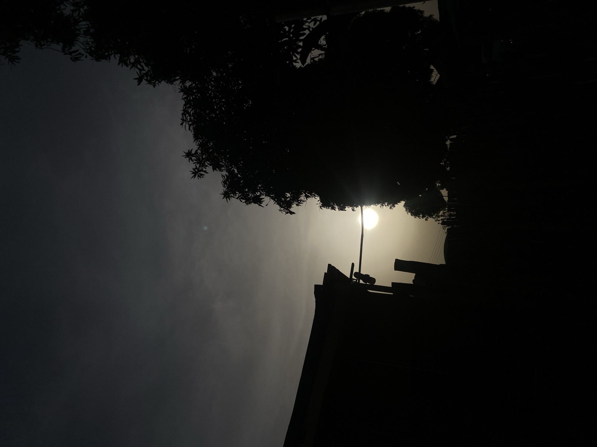 The image shows a low-angle view of the sky, partially obscured by trees and the silhouette of a building. The sun appears as a bright, diffused disk through the haze. The location is not discernible in this image, therefore I cannot confirm that the location is Barden Yana, Nigeria.