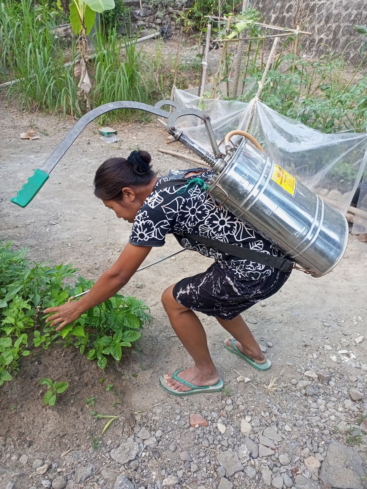 A woman with dark hair pulled back in a bun, wearing a black and white floral print dress and green flip-flops, crouches by a small garden bed. She is tending to green plants, her right hand gently touching the leaves. Strapped to her back is a large, cylindrical metal tank with a yellow label, attached to a spraying apparatus with a long curved arm and a green handle. The background depicts a rural scene with tall grass, banana leaves, and a stone wall. The ground is a mix of dirt and gravel. The image appears to be taken outdoors in Nanggulan, Indonesia, possibly a residential area or a farm.