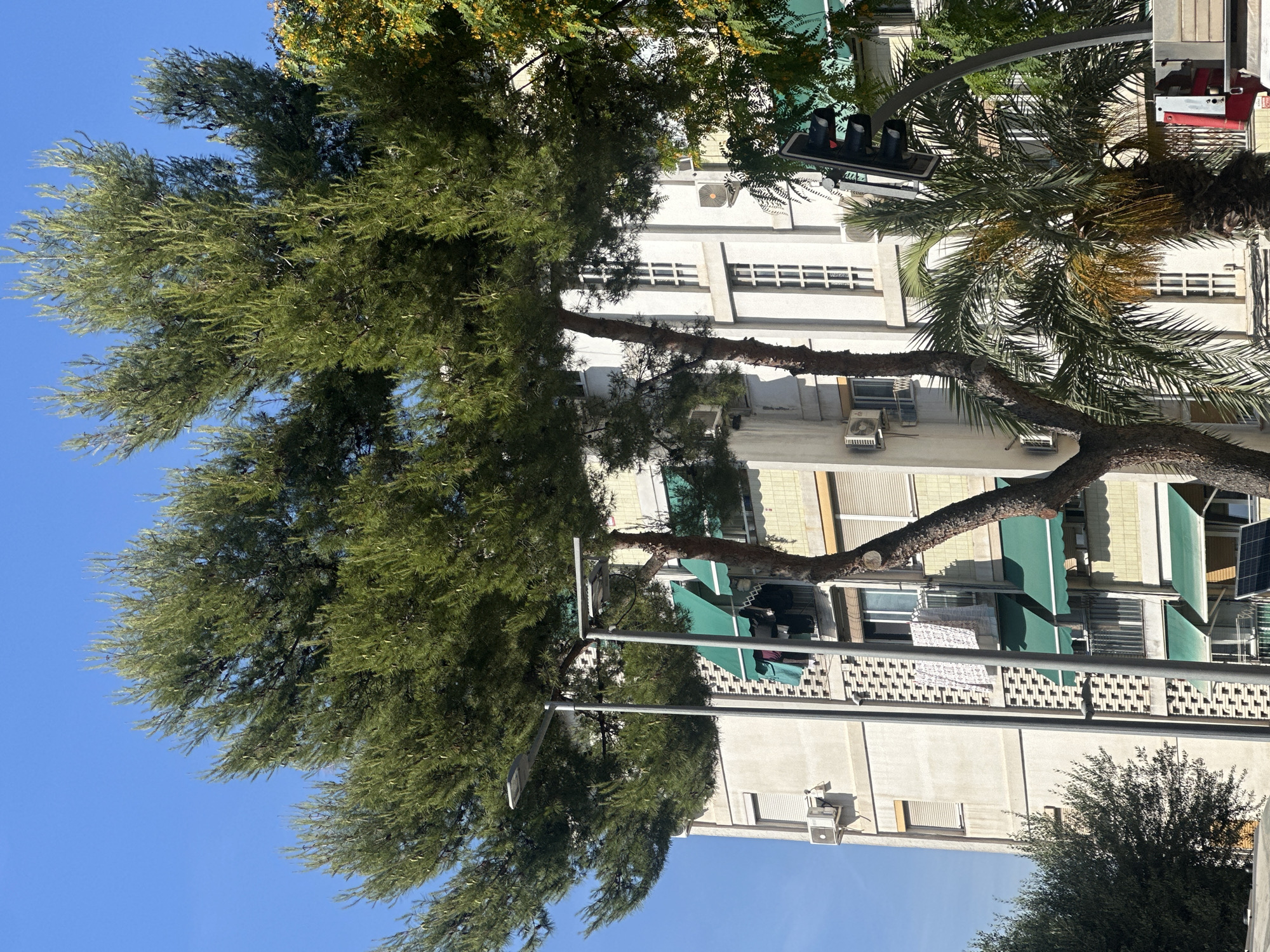 The image shows a multi-story building in Cornellà de Llobregat, Spain, with a large pine tree in the foreground. The building is light-colored with multiple windows, some of which are covered by green awnings. Laundry is visible hanging on a balcony. Streetlights and a traffic signal are also present. The sky is clear and blue.