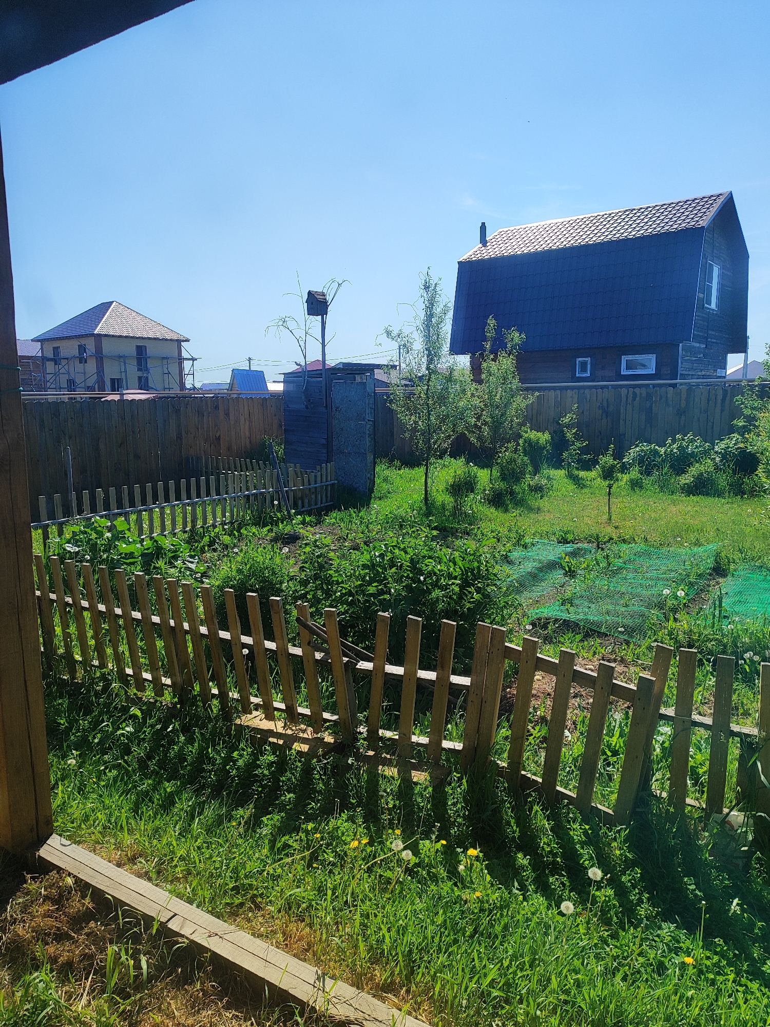 The image depicts a backyard scene in Marusino, Russia, under a clear blue sky. In the foreground, a low, rustic wooden fence runs diagonally across the frame, separating a grassy area from a garden bed. Beyond the fence, the garden is filled with lush green vegetation and some flowering dandelions. Further back, a tall wooden fence encloses the property.
To the left of the garden, a house under construction is visible, with scaffolding around its exterior and a light-colored roof. To the right of the garden, a dark, slanted-roofed wooden house stands, with several windows and a chimney. Adjacent to this house is a small, weathered wooden outhouse. The environment is characterized by a mix of manicured garden areas and wilder, overgrown sections, suggesting a rural or semi-rural residential setting. There are no people visible in the image.