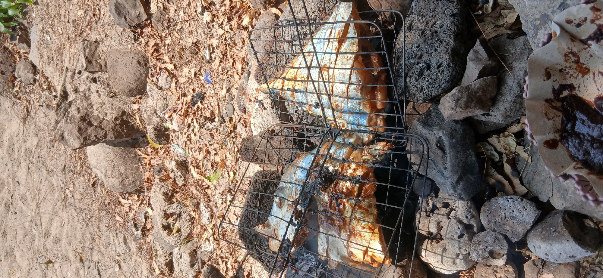 In Banyuglugur, Indonesia, two halves of a large fish are being grilled on a black metal grate positioned over rocks. The fish, appearing to be of a silvery-blue variety, is seasoned with a reddish-brown sauce and shows signs of charring. The surrounding environment consists of dry, sandy ground covered with fallen leaves and interspersed with various-sized rocks. In the foreground, a crumpled paper container filled with a dark, viscous liquid and small round objects, possibly beans or seeds, is visible. The scene suggests an outdoor cooking setting.