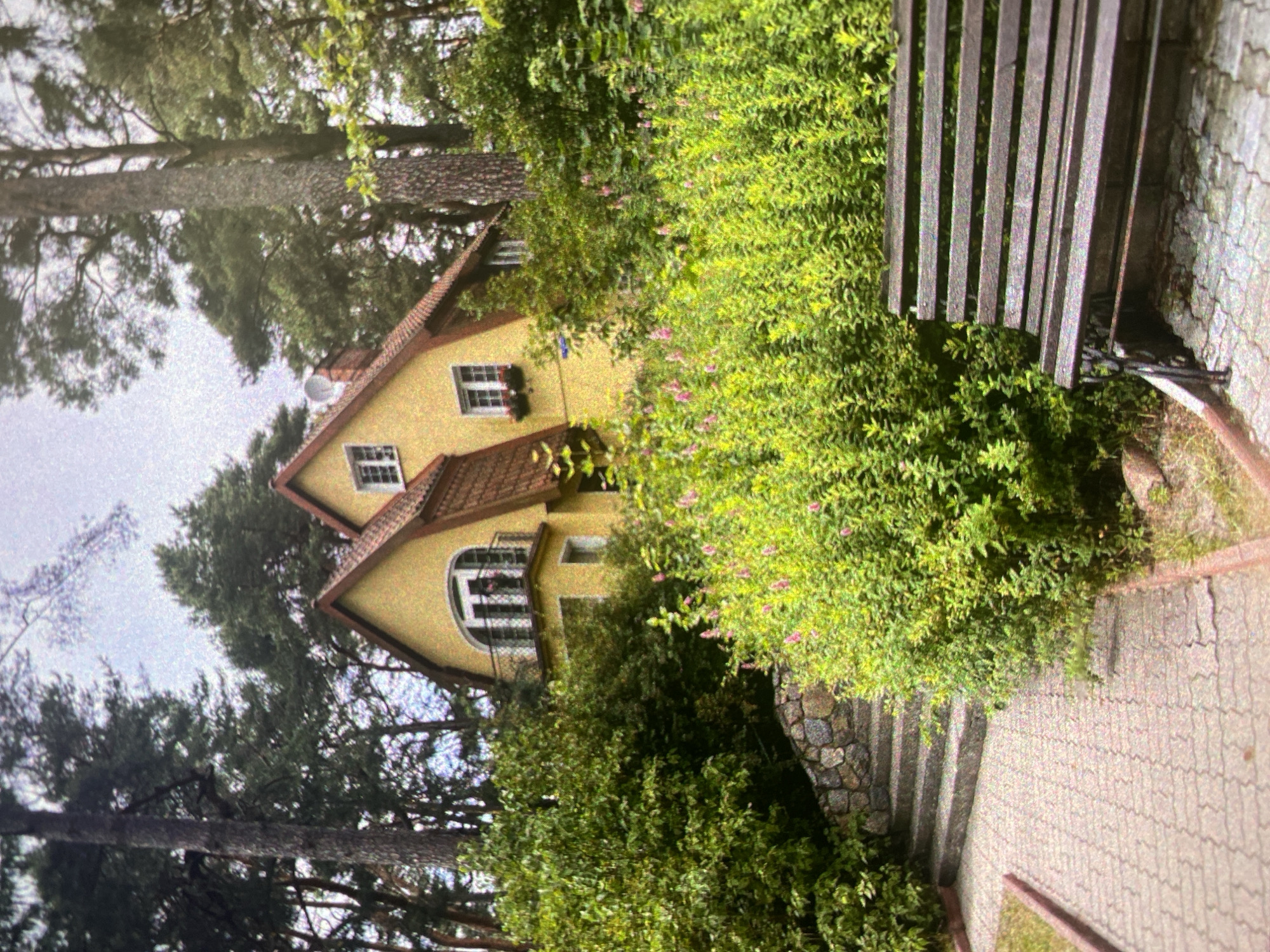 The image shows a yellow house with a red-tiled roof, situated amidst lush greenery in Saint Petersburg, Russia. The house has several windows, some with flower boxes, and a satellite dish on the roof. A wooden bench is partially visible to the right, next to a stone wall and a paved path. The scene is surrounded by tall trees.