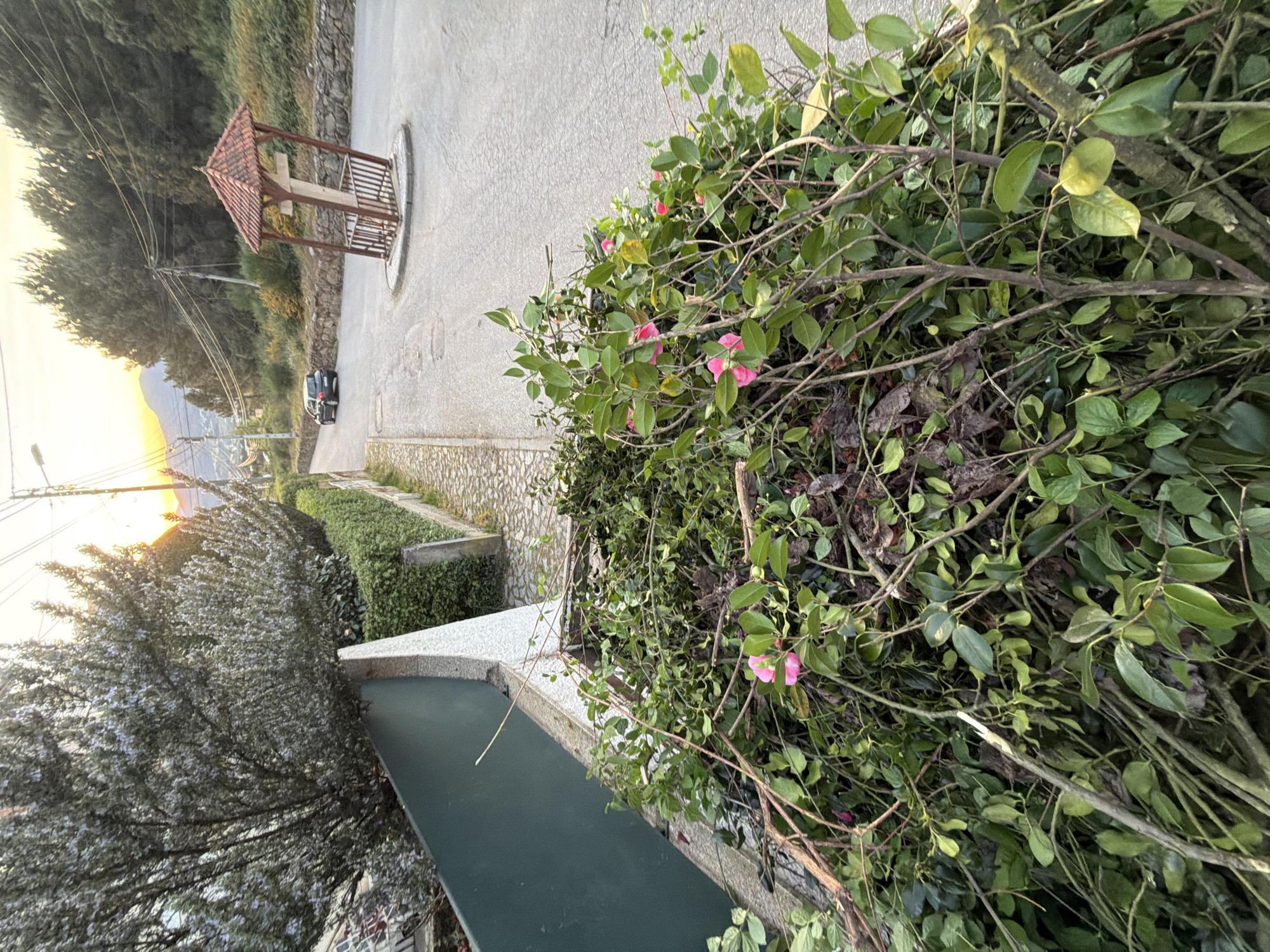 The image depicts an outdoor scene in Vila Real, Portugal. A paved road leads uphill with a wooden structure resembling a gazebo on the left. A vehicle is parked further up the road. Bushes and trees line the side of the road. In the foreground, there is a green bush with pink flowers. The time of day appears to be early morning or late afternoon due to the position of the sun.