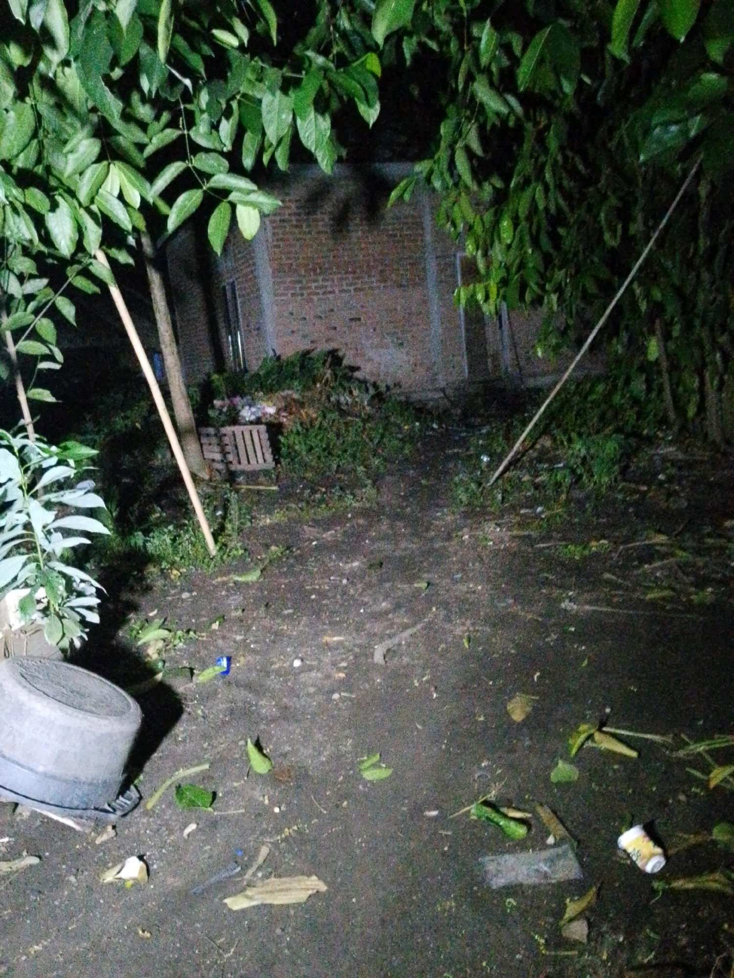 This image depicts an outdoor scene at night in Pariaman, Indonesia. The ground is a mixture of dirt and debris, with scattered leaves, twigs, and what appears to be litter. In the foreground, a large, gray, cylindrical object is visible on the left. Further back, there is a wooden pallet. Behind the pallet, a pile of organic material, possibly garden waste, is present. A brick structure is visible in the background, partially obscured by dense green foliage from trees. A thin, light-colored pole or stick leans diagonally from the top left towards the middle right of the frame. The lighting suggests artificial light sources are present but are not directly captured in the image. There are no people or animals visible in the scene. The environment appears unkempt.