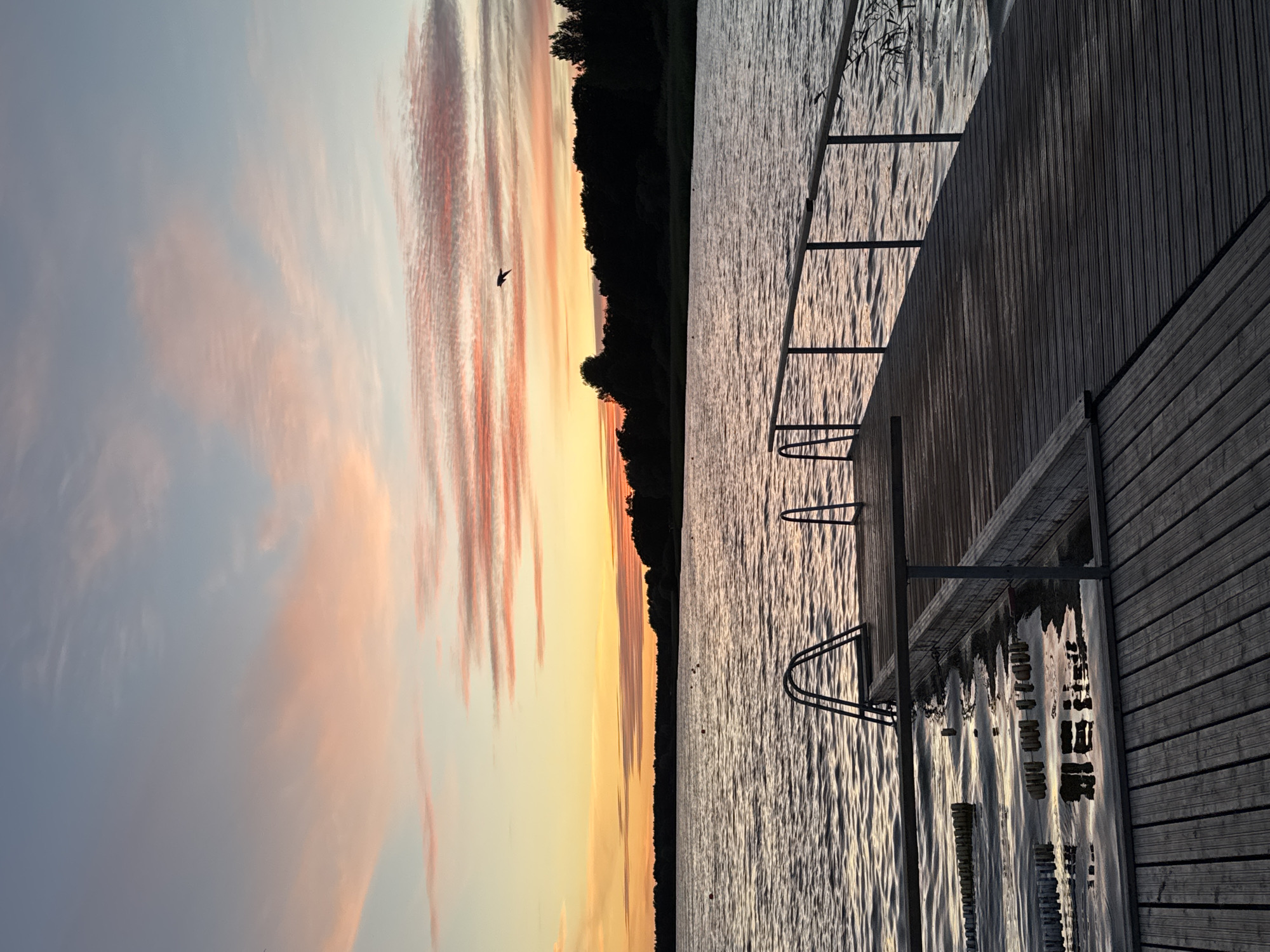 The image depicts a serene lakeside scene at sunset. A wooden pier extends into calm water, with metal railings and steps leading into the lake. The sky is painted with soft hues of pink and orange, transitioning into a pale blue, with wispy clouds. A lone bird is captured in flight against the colorful sky. The opposite shore is lined with a dark silhouette of trees. The water reflects the ambient light, creating a gentle ripple effect. The scene suggests a tranquil, natural setting, possibly a recreational area. There are no discernible landmarks or elements that specifically place this scene within Tallinn, Estonia.