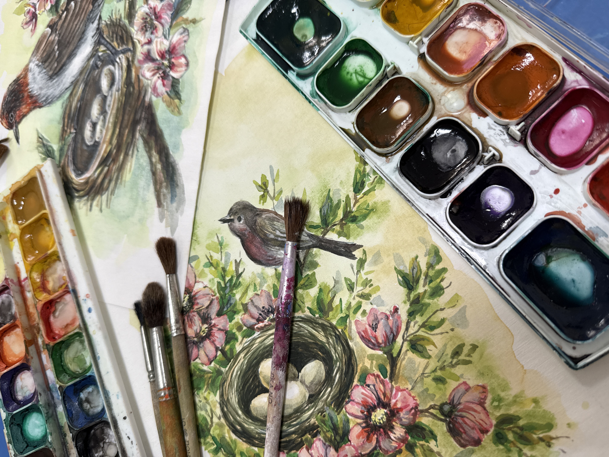 The image displays a collection of watercolor art supplies and paintings. In the foreground, a palette of watercolors is visible, filled with various colors such as green, black, brown, pink, and yellow. Several paintbrushes, some with wooden handles and bristles stained with paint, are also present. Two watercolor paintings are depicted, each featuring a bird and a nest with eggs, surrounded by flowers and foliage. One painting shows a bird perched on a branch with a nest containing three eggs. The other painting depicts a bird near a nest with four eggs. The overall scene suggests an artist's workspace, with the materials and works in progress laid out. There are no people visible in the image, and the location is not specified. The context does not provide any information related to Vladivostok, Russia.