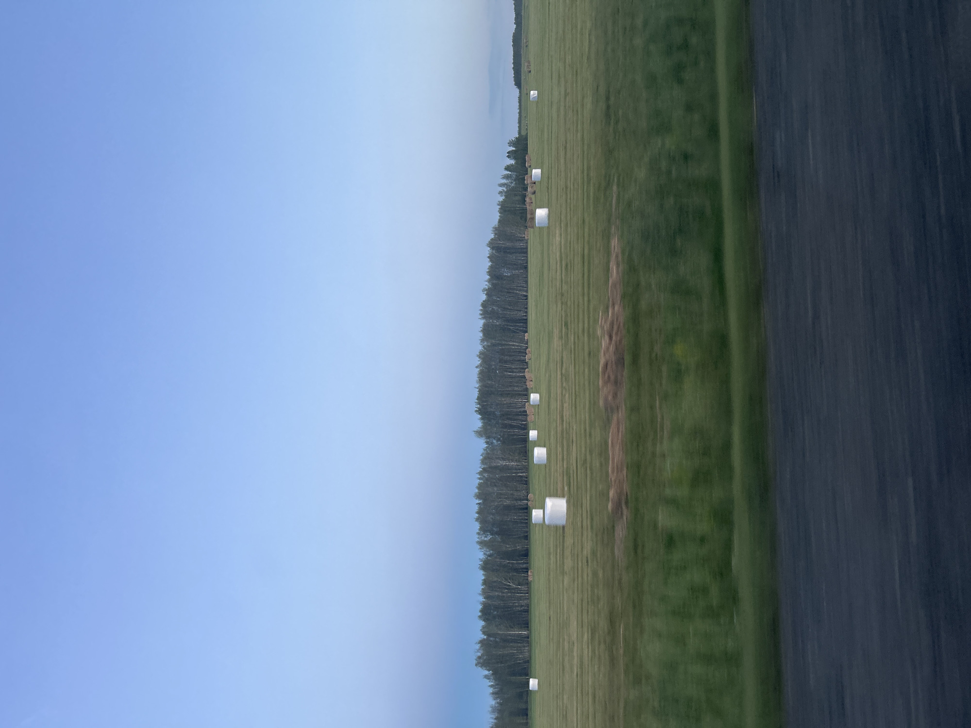 The image depicts a rural landscape in ZImino, Russia, captured from a moving vehicle. The scene is dominated by a vast, green field with several large, white, cylindrical hay bales scattered across it, suggesting agricultural activity. A dense line of trees, likely a forest, runs along the middle ground of the field, creating a natural boundary. Beyond the trees, a hazy horizon with what appears to be a body of water or a distant landscape can be seen under a clear, pale blue sky. To the right of the frame, a dark, textured surface, presumably a road or pathway, is visible, further reinforcing the impression of travel.
The lighting suggests it is either early morning or late afternoon due to the soft, diffused light and the overall muted colors. The weather appears calm and clear, with no indication of rain or strong winds. The presence of hay bales implies that the harvest season has recently passed or is ongoing. The combination of the open field, forest, and road points to a remote, countryside setting. There is no visible text in the image. The overall mood is serene and peaceful, characteristic of a quiet rural environment.