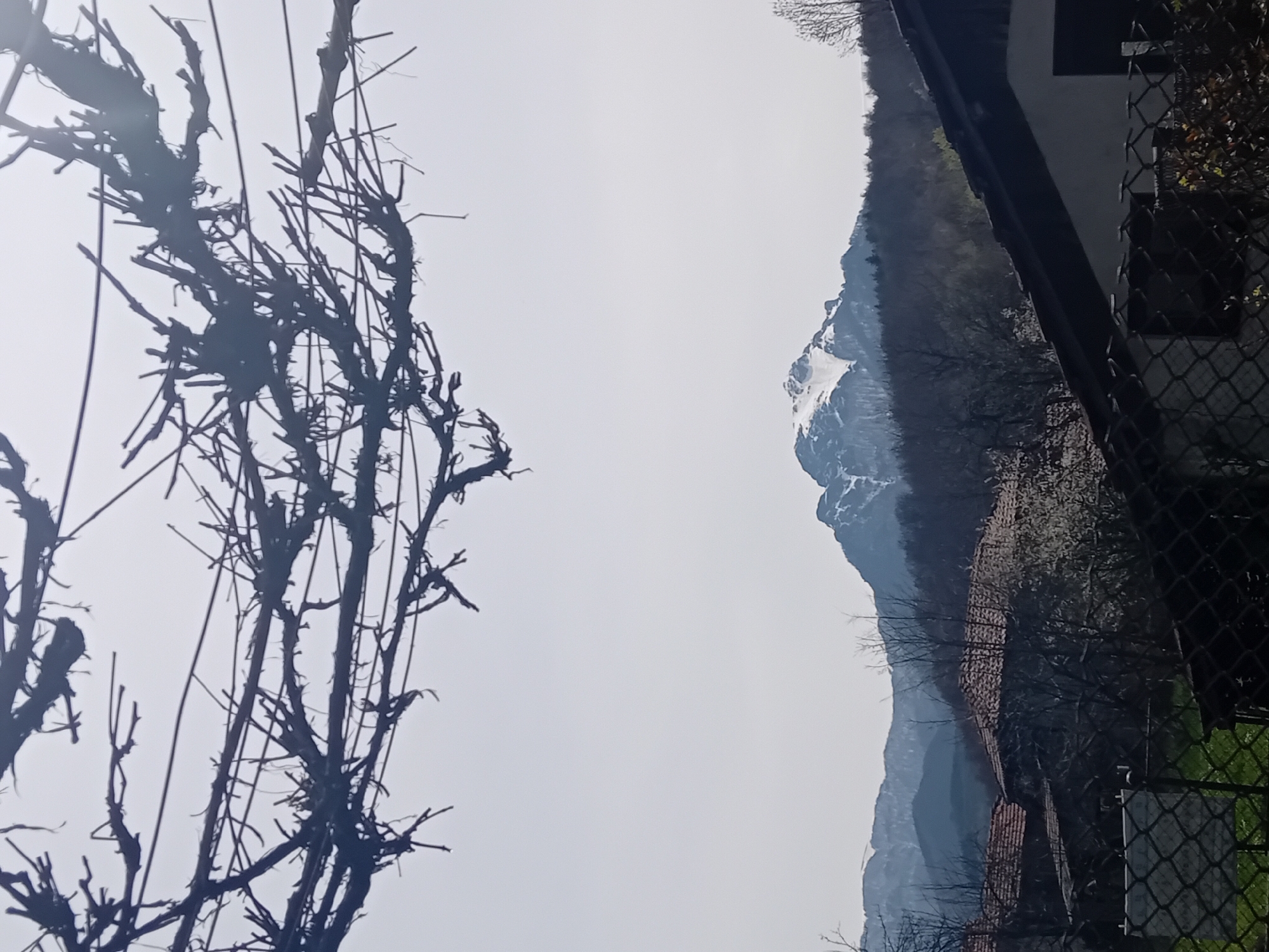 The image depicts a landscape in Unknown, Unknown, featuring bare trees in the foreground. In the background, a mountain range is visible, with snow-capped peaks. There is also a building with a tile roof, partially obscured by the trees and a chain-link fence. The sky is overcast and light-colored.