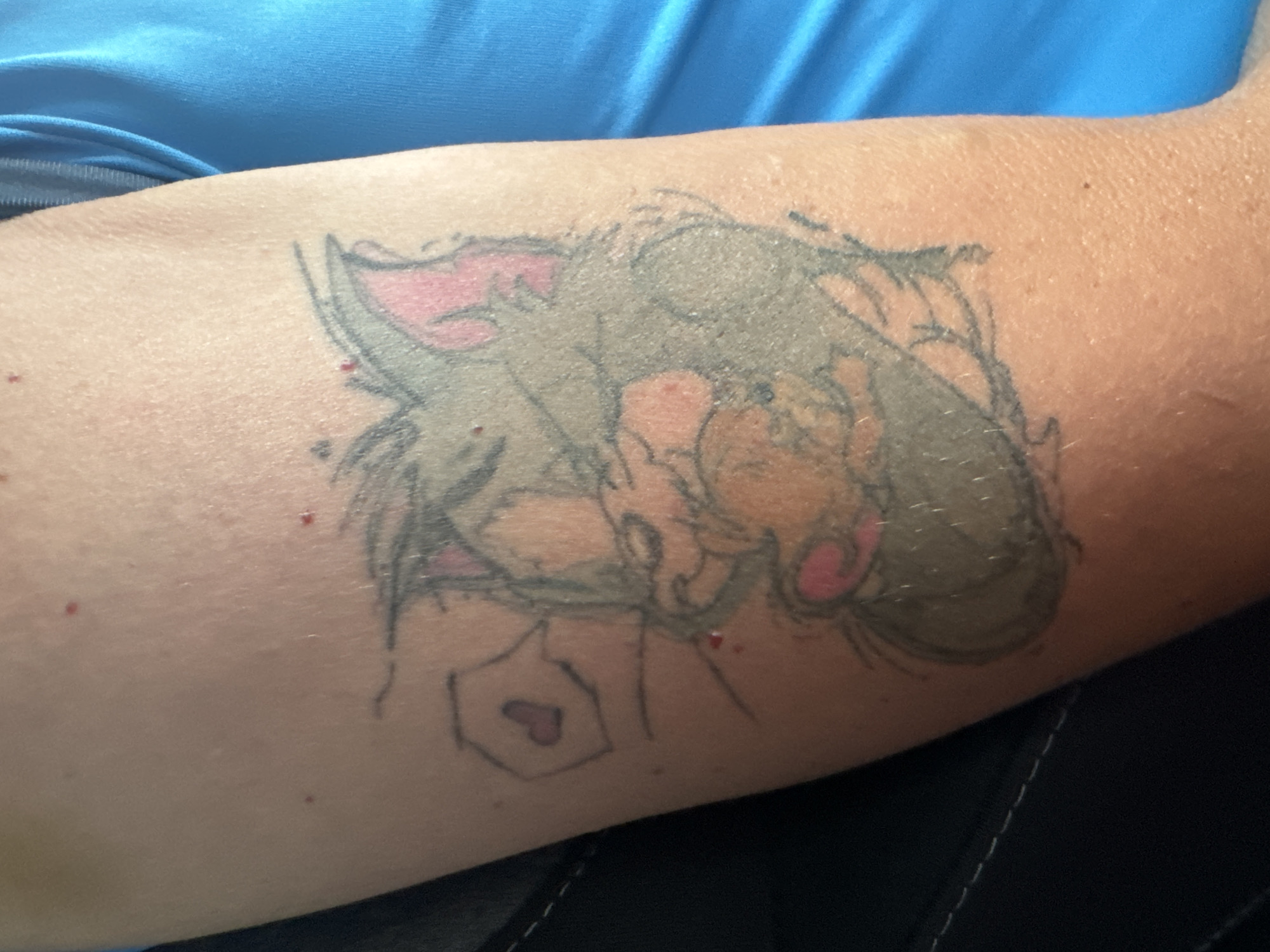 The image shows a tattoo on a person's arm. The tattoo depicts a cartoon cat and mouse, likely representing Tom and Jerry. The cat is gray with pink ears and muzzle, and the mouse is a light brown color. A small pink heart is shown in a speech bubble above the cat's head. There are small red dots on the skin around the tattoo, which may be ink or a reaction to the tattoo. The person is wearing a blue shirt. The location of the image is not specified in the provided information.