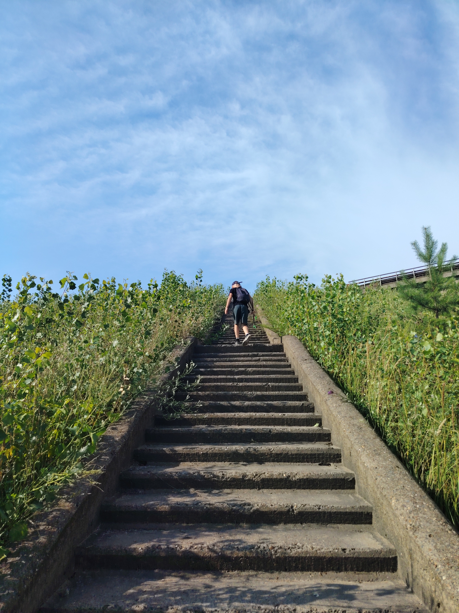 An individual wearing a dark t-shirt, dark shorts, a dark backpack, and a hat ascends a weathered concrete staircase outdoors. The stairs are flanked by dense green vegetation, with taller plants to the left and a mix of grasses and foliage to the right. Above the vegetation, a railway track bridge is visible in the distance, with a few trees dotting the landscape. The sky is a clear blue with scattered white clouds. The scene appears to be a public outdoor space, possibly a park or a pathway, with the overall impression of a bright, sunny day. The specific location in Chaikovsky, Russia, is not discernible from the visual elements alone, but the presence of a railway suggests an area accessible by public transportation.