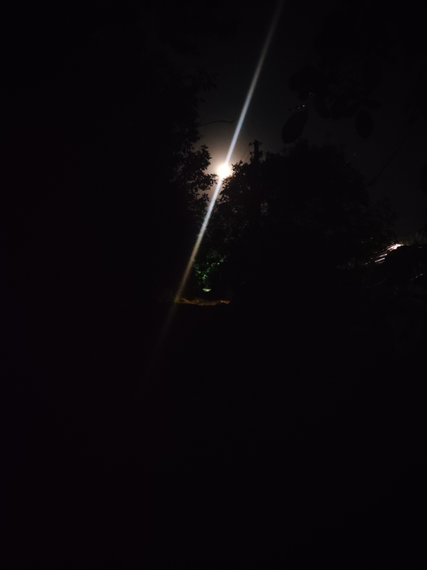 The image captures a nighttime scene, likely outdoors. The dominant element is the darkness, with areas of deep shadow obscuring much of the foreground and background. A bright, narrow beam of light cuts diagonally across the upper portion of the frame, originating from the left and extending towards the upper right. This light source appears to be artificial, possibly a spotlight or a strong flashlight.
Peeking through the darkness, particularly in the upper center and right, are the silhouettes of trees and foliage. Their branches and leaves are mostly indistinct, creating a dense, shadowy canopy. In the mid-ground, illuminated by the bright beam of light, there's a faint suggestion of greenery, possibly more vegetation or a patch of lawn. Below this, the ground appears to be a lighter shade, perhaps a dirt path or bare earth, also partially lit.
The overall mood is mysterious and slightly eerie, due to the contrast between the intense light and the enveloping darkness. The time of day is clearly night. No people, text, or specific weather conditions are discernible. The location is unidentifiable, suggesting a natural or semi-natural outdoor setting where such lighting might be employed. The activity, if any, is not apparent beyond the illumination of the scene.