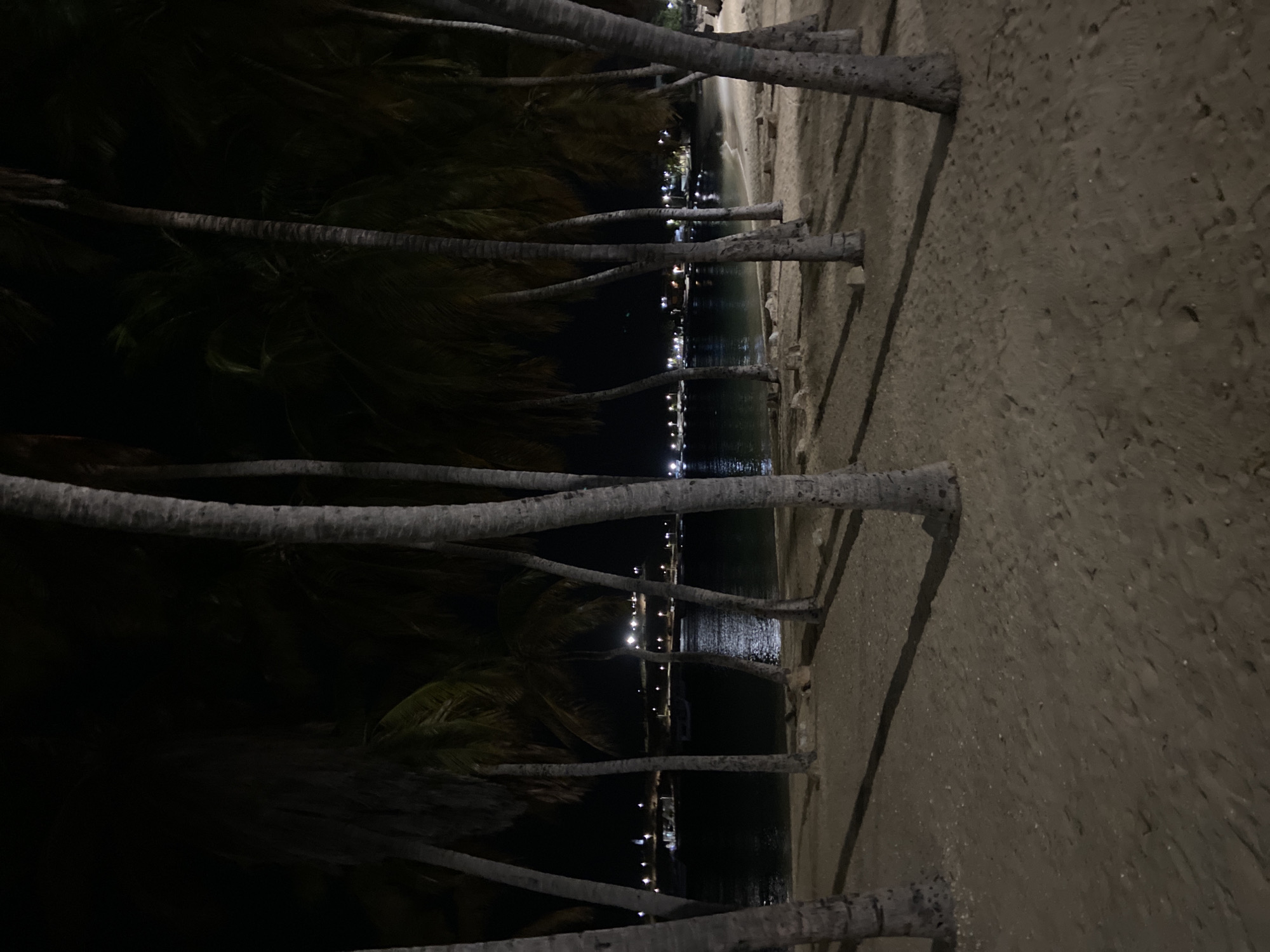 At night, a beach in Juan Griego, Venezuela, is lined with palm trees. Lights from buildings or street lamps reflect in the water. The sand appears dark and damp. No people are visible.