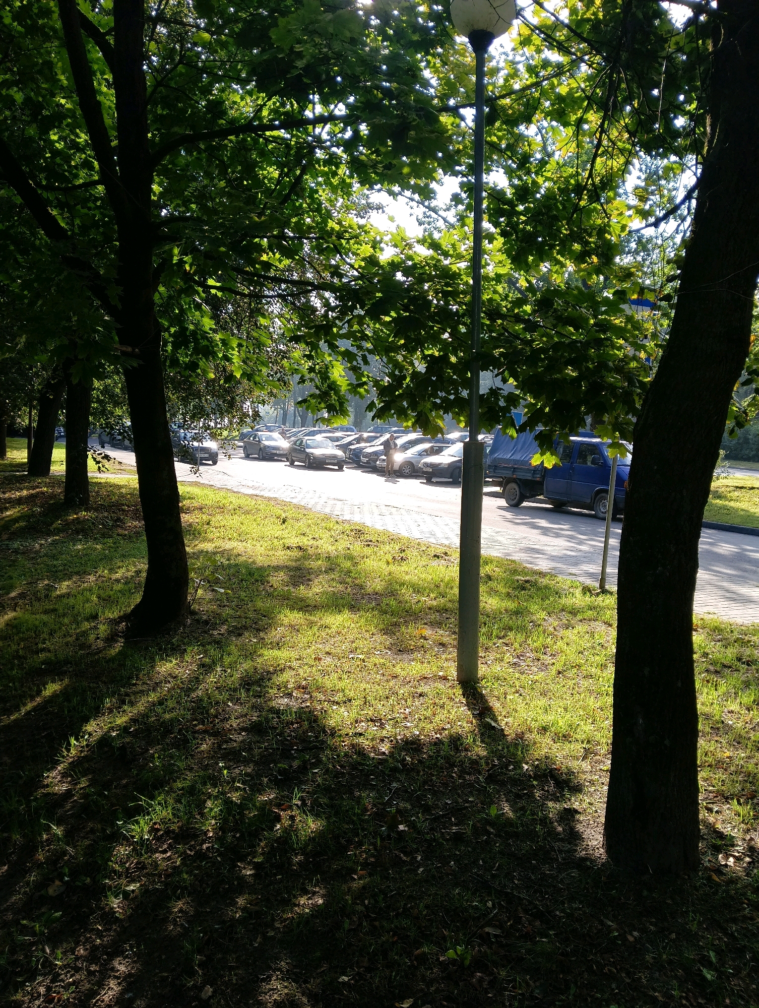The image depicts a sunny day in a park-like area with a paved walkway and a parking lot in the background. Several cars are parked in the lot, including a blue flatbed truck with a tarp. A street lamp stands near the walkway, casting a shadow on the grass. The foreground is dominated by the dark trunks of trees and dappled sunlight on the grass. The scene appears to be located in a city, possibly Hrodna, Belarus, given the context. There are no prominent human figures or activities evident in the image.