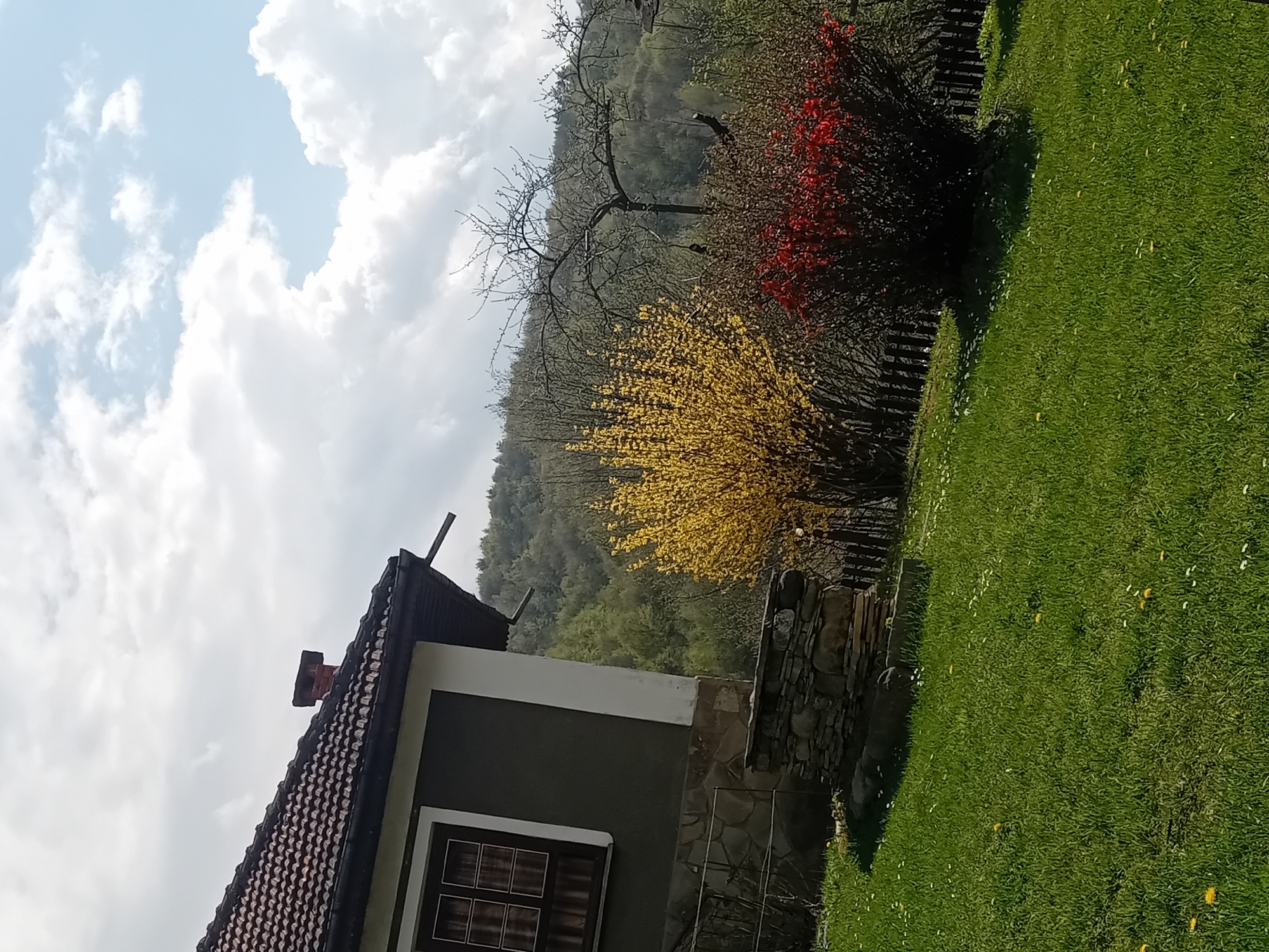 The image shows a house and landscape, with a partially visible building in the lower-left corner, featuring a brown tiled roof, a chimney, and a window. Adjacent to the house is a stone wall. In the background, there are trees, including one bare tree and bushes with red and yellow flowers. A grassy lawn extends from the foreground to the background. The sky is partially cloudy. The image provides no clear indication of the city or location.