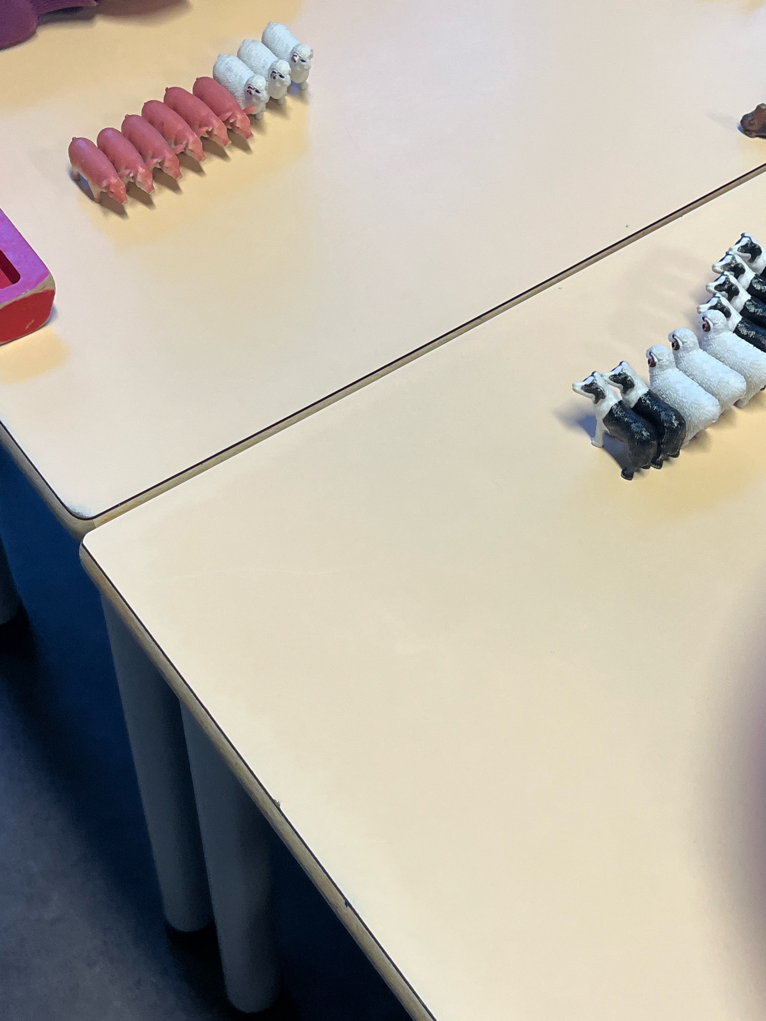 The image shows a close-up, overhead view of two light-colored tables joined together, likely in a classroom or play area in La Fouillouse, France. On the left table, a line of pink pig figurines is arranged diagonally from the bottom left towards the top right. To the right of the pigs, a line of white sheep figurines is also arranged in a similar diagonal. On the right table, a line of black and white sheep figurines is visible, also arranged diagonally from the bottom left towards the top right. The tables have dark edges. The background shows the dark blue floor and the legs of the tables. No people are visible in the frame.