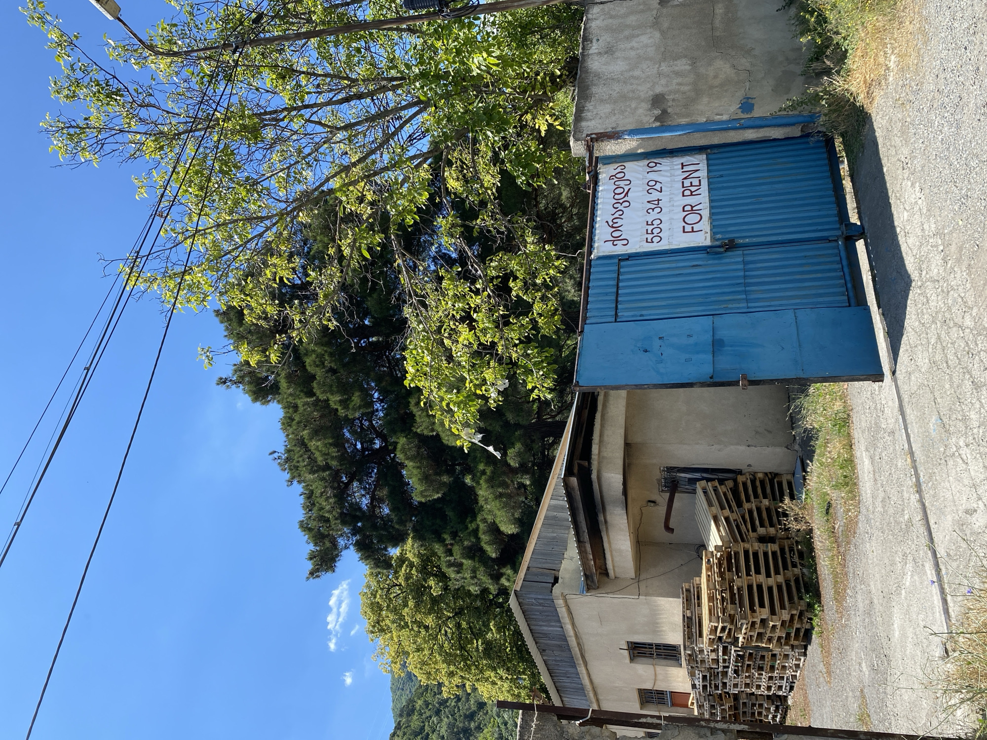 The image captures an outdoor scene on a clear, sunny day in Mtskheta, Georgia. The foreground features a concrete driveway with scattered patches of dry grass. To the left, a stack of wooden pallets is piled high against a tan-colored building. This building has a corrugated metal roof and several barred windows. Adjacent to the building is a tall, blue metal gate, partially open, revealing a glimpse of what lies beyond. Attached to the gate is a white sign with red and black text in Georgian and English, indicating "FOR RENT" and a phone number.
Behind the gate and to the right, a concrete wall borders the property. Overhanging the wall and extending into the frame are lush green trees, with one large pine tree dominating the background. In the far distance, a verdant, mountainous landscape is visible under a bright blue sky with a few wispy white clouds. Power lines crisscross the upper portion of the image. The overall impression is one of an industrial or storage area in a semi-rural or suburban part of Mtskheta.