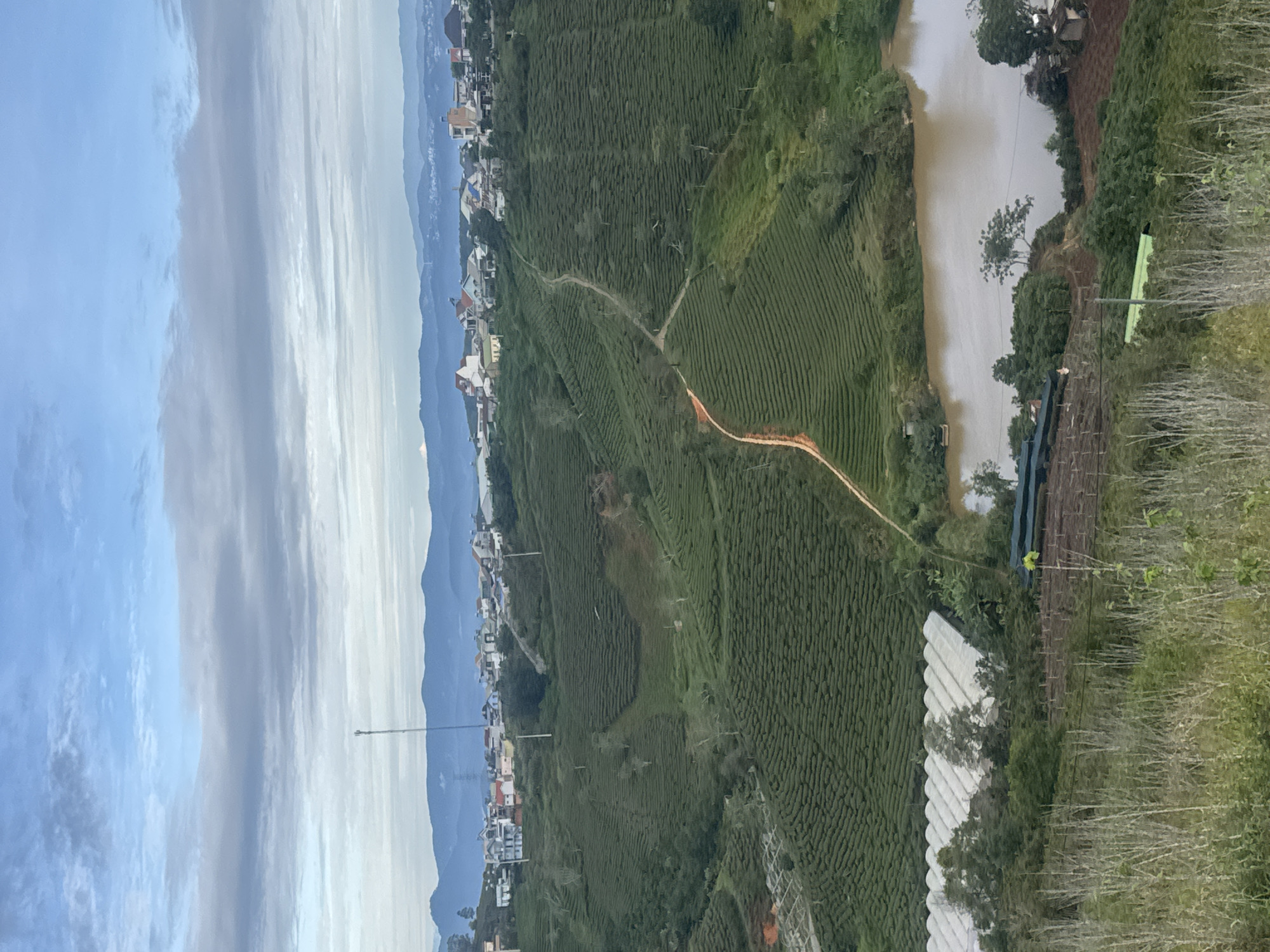 The image shows a landscape in Trường Thọ, Vietnam. In the background are mountains and a cloudy sky. In the midground, there are rows of tea plants, interspersed with roads and paths. A body of water is visible on the right side. There are some houses visible on the left side, near the mountains. In the foreground, there is a fence and some greenery, partially obscuring the view. There are also what appear to be some greenhouse structures.