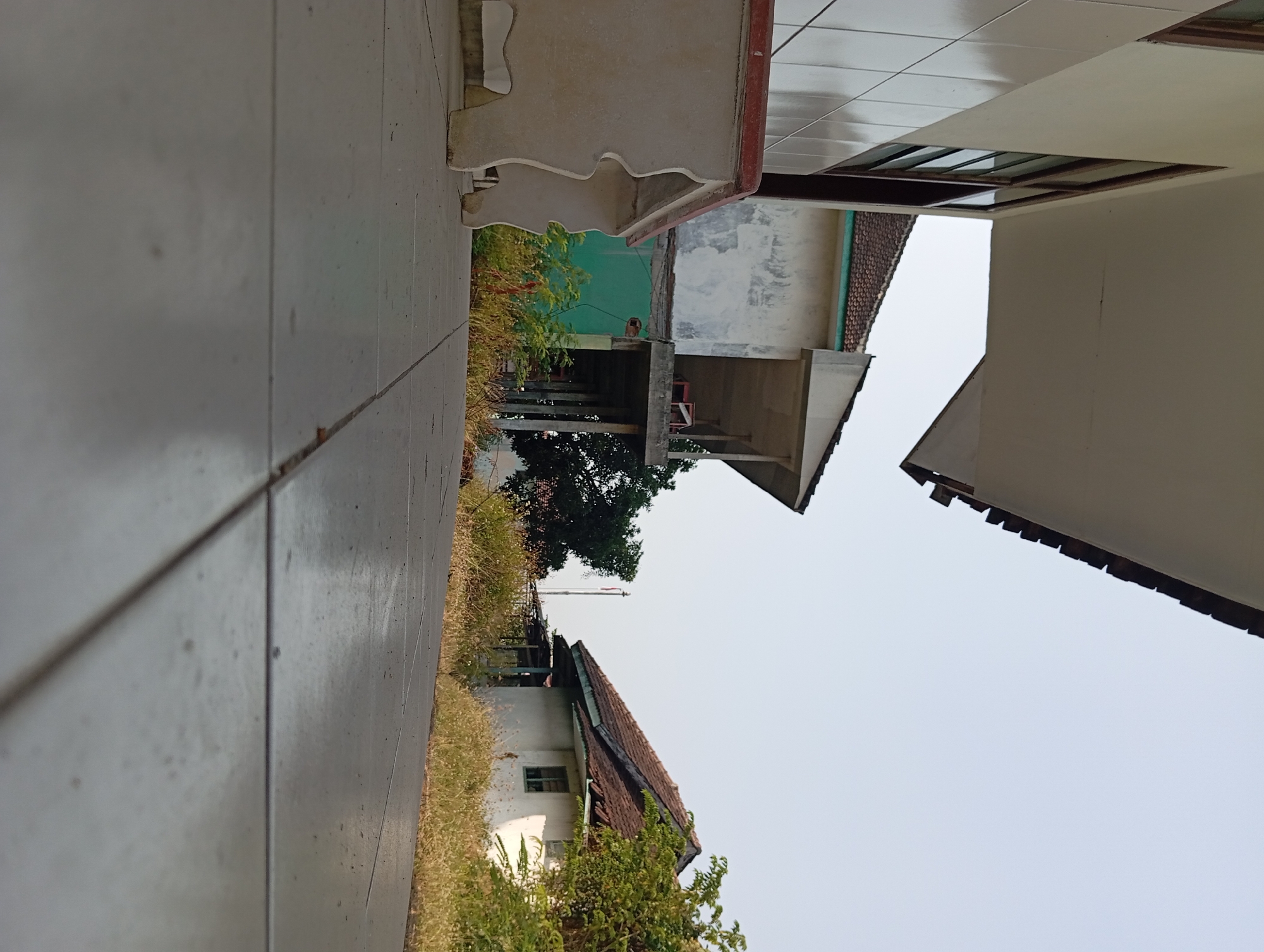 The image shows an outdoor scene at ground level, looking towards several buildings. In the foreground, a tiled walkway is visible, with a concrete bench to the left. Beyond the walkway, there are two buildings. The building on the left appears to be a multi-story structure with some unfinished sections and a green wall. The building on the right is a single-story house with a brown tiled roof and white walls, partially obscured by overgrown vegetation. The sky is overcast and light. There is no indication of the specific location within Pandaan, Indonesia, based on the visual evidence alone.