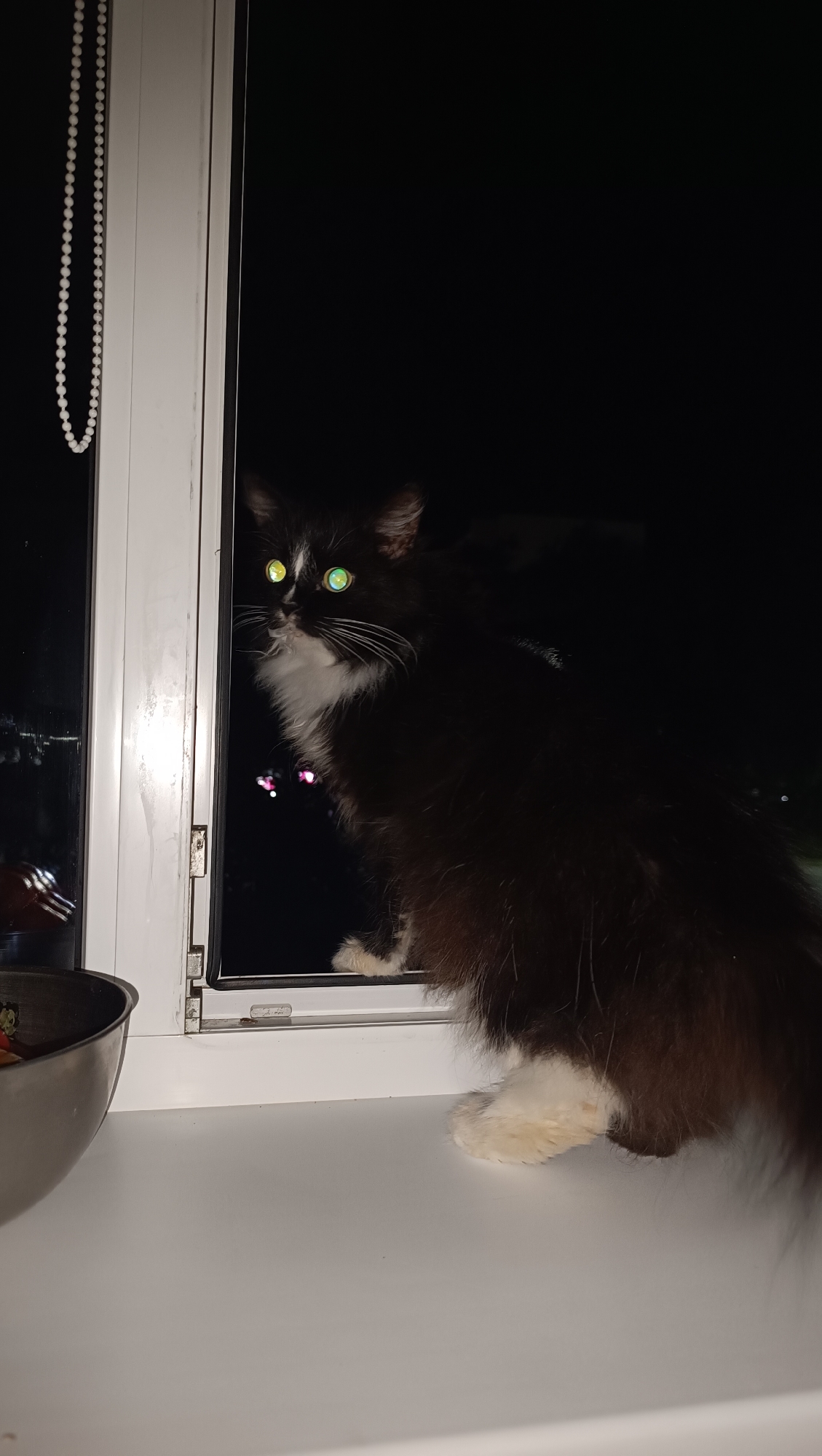 A black and white long-haired cat is sitting on a white windowsill at night, looking out a window. The cat's eyes are reflecting green light. Outside the window, there is darkness with some blurred, colorful lights, possibly from a city. To the left of the cat, a metal bowl is partially visible on the windowsill, and a string of white beads hangs down from the left side of the window frame. The scene appears to be indoors, likely in an apartment in Chaikovsky, Russia, given the typical urban night view and window setup.
