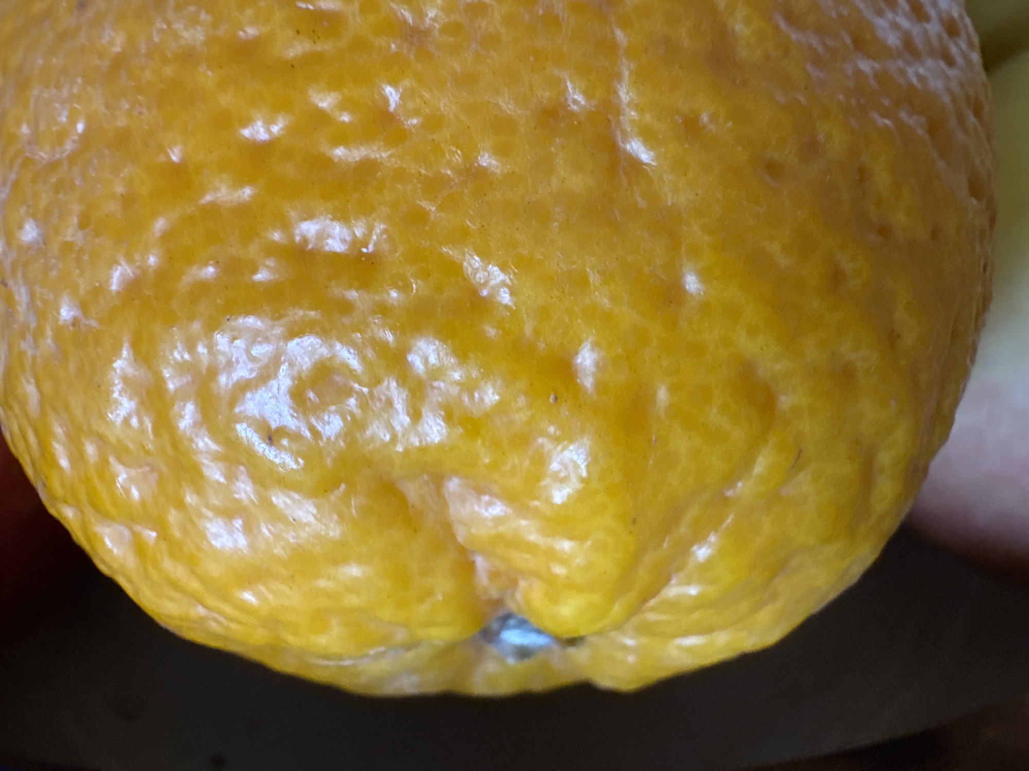 A close-up, full-frame shot focuses on the textured surface of a bright orange fruit, possibly an orange or a similar citrus fruit. The skin is uneven, with numerous small pores and larger indentations, giving it a slightly bumpy appearance. Light reflects off the glossy surface, highlighting the contours and creating bright white spots. The color is a vibrant, saturated orange, with some areas appearing lighter due to the reflections. The fruit occupies most of the frame, with a dark, out-of-focus background on the left side of the image. Towards the bottom edge, a hint of another object, possibly another fruit, with a pale pinkish hue, is visible and blurred. There is a small, bright blue reflection or glint of light visible on the skin near the left edge of the fruit, where the skin indents.