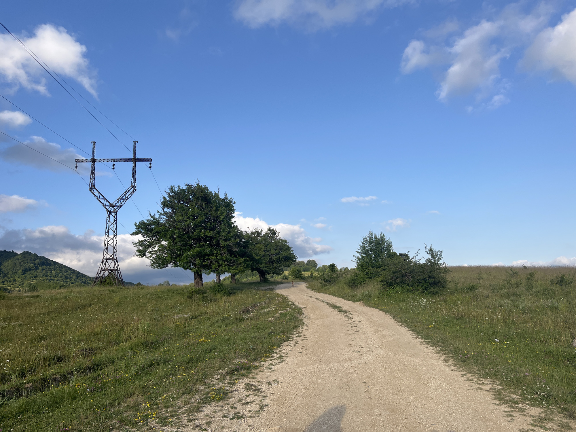 An outdoor, eye-level, medium-wide shot captures a rural landscape under a bright blue sky with scattered white clouds. A dirt road curves through a grassy field dotted with wildflowers and some trees. On the left, a tall electrical tower stands against a backdrop of a tree-covered hill. The overall impression is one of serene, open countryside.