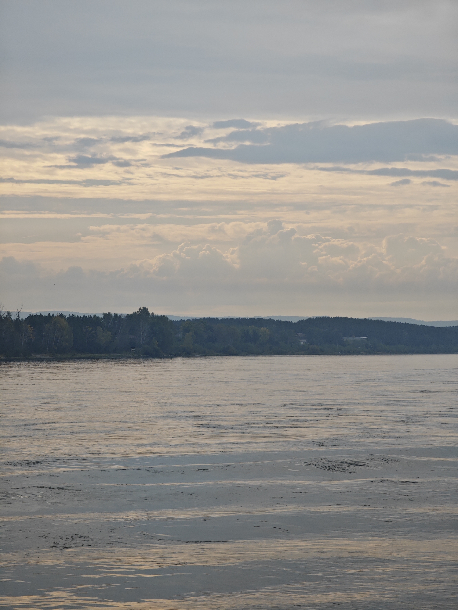 This is an outdoor, eye-level shot of a wide river with a tree-lined shore under a cloudy sky. The image is captured in Ермолаево, Russia. The river occupies the majority of the frame, with subtle ripples and reflections of the sky and shore. The far bank is densely populated with trees, forming a dark green band against the horizon. A few houses are visible nestled within the trees. The sky is filled with a variety of clouds, ranging from thin, wispy layers to larger, more textured formations, with hints of pale sunlight filtering through. The overall lighting suggests it is either early morning or late evening. There are no people or animals visible in the scene.
