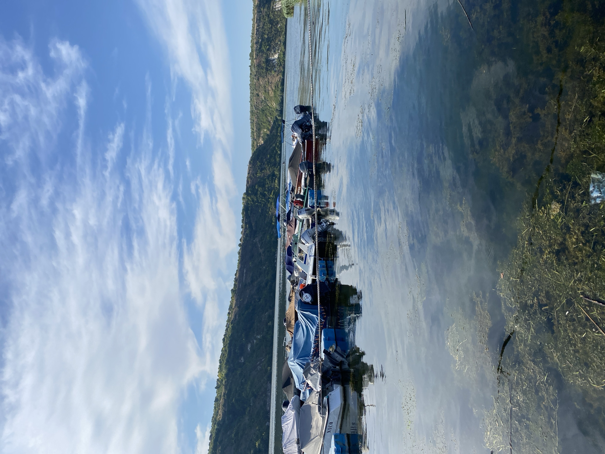 The image depicts a tranquil scene at the Molovata Nouă port on the Dniester River in Moldova. A flotilla of small motorboats, mostly covered with tarps, is moored to a floating dock. The boats are of various sizes and colors, with some displaying outboard motors. The Dniester River stretches into the background, with a lush green, hilly landscape bordering its far bank. The sky above is a vibrant blue, dotted with wispy white clouds, reflecting on the calm surface of the water. The foreground of the image shows the shallow, clear water near the dock, revealing aquatic vegetation and debris. The overall impression is one of peacefulness and natural beauty.