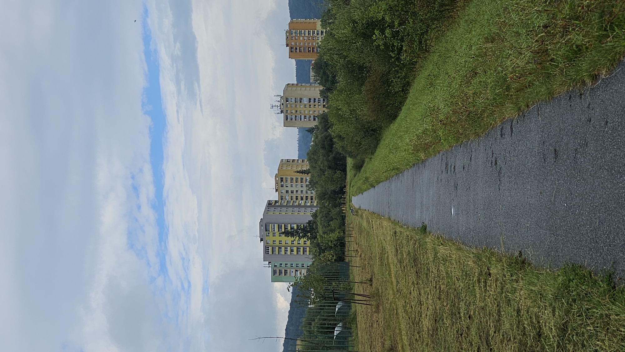 A paved walkway traverses a grassy area with freshly cut grass on the left and taller, wilder grass on the right. In the background, several multi-story apartment buildings are visible, characteristic of the Sekčov housing estate in Prešov, Slovakia. Trees and vegetation surround the buildings, and a hill with trees forms the backdrop. The sky is overcast with patches of blue sky showing through. A single bird is visible flying in the upper right portion of the sky.