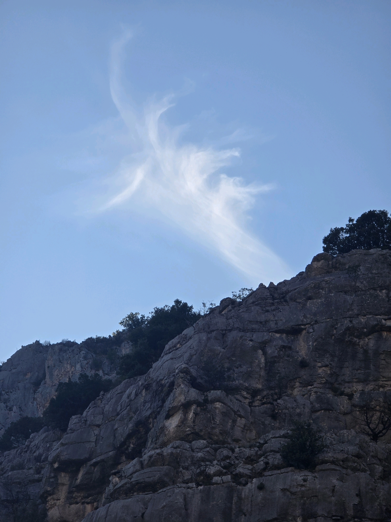 A low-angle, wide shot captures a dramatic rocky cliff face against a pale blue sky. A thin, wispy cloud formation, resembling a feathery brushstroke, stretches across the upper portion of the frame, drawing the eye upwards. The rock face itself is rugged and textured, with visible layers and crevices, suggesting a long geological history. Sparse vegetation, including dark green trees and shrubs, clings to the slopes and the crest of the cliff, providing a contrast to the grey stone. The lighting suggests it is either early morning or late afternoon, with soft, diffused light casting gentle shadows. The overall mood is one of natural grandeur and serene isolation. No people or text are visible in the image. The setting appears to be a mountainous or canyon-like environment.
