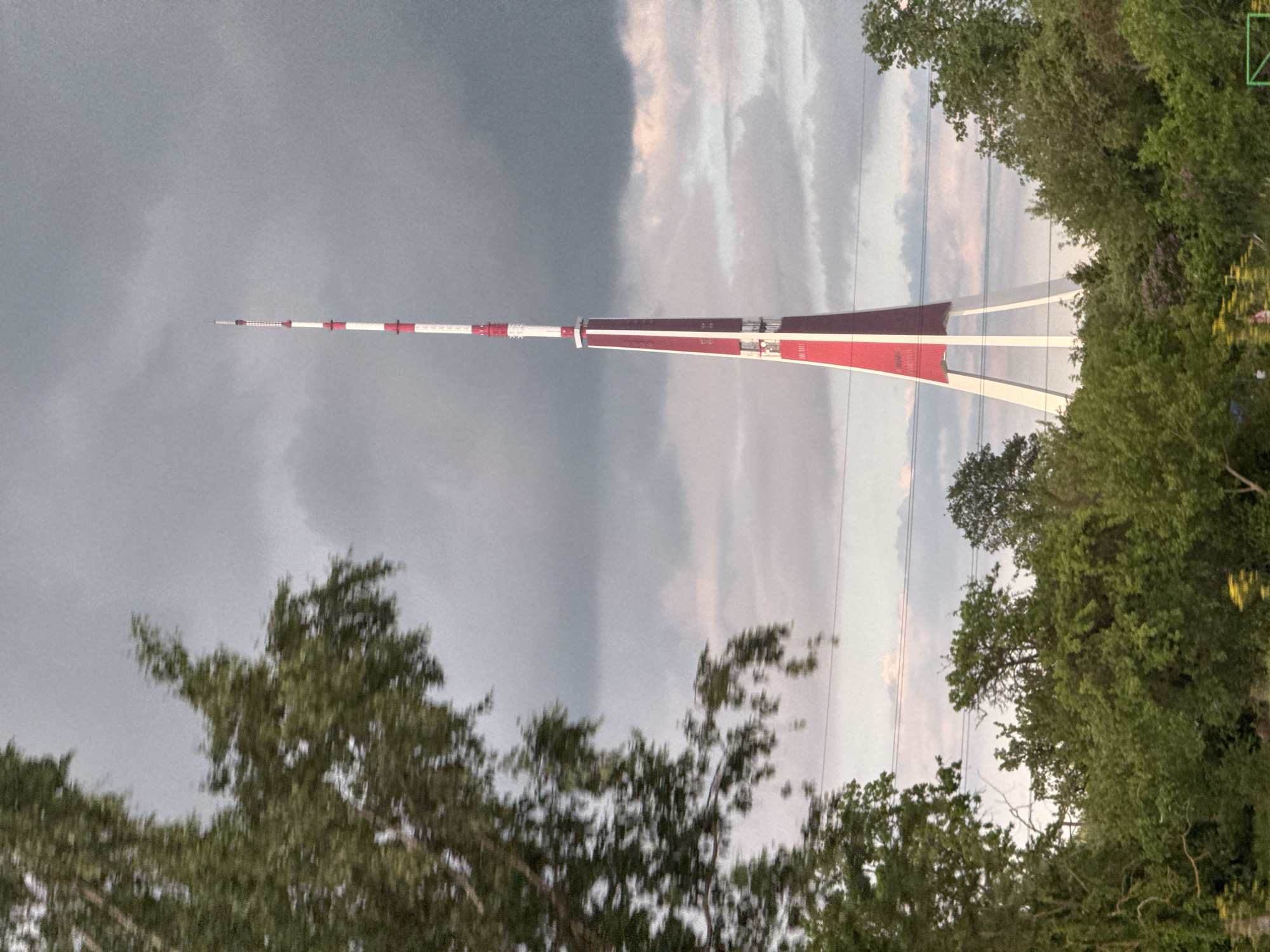 The image displays the Riga Radio and TV Tower, located in Riga, Latvia, under an overcast sky. The tower, a distinctive architectural structure, features a broad, triangular, white base with a prominent red panel visible on the side facing the viewer. Above the base, a tall, slender mast extends upwards, painted in alternating red and white horizontal stripes. The sky above is predominantly dark grey with heavy cloud cover, while the lower portion of the sky to the right of the tower shows lighter grey clouds with faint pinkish hues.
The foreground and midground are densely populated with various green trees and bushes, partially obscuring the base of the tower. The foliage on the left side of the frame exhibits significant motion blur, suggesting the photograph was taken from a moving vehicle or by a moving camera. Several dark horizontal lines, consistent with power lines, are visible stretched across the mid-ground, passing above some of the trees and in front of the lower section of the tower. No people, discernible actions, or interactions are visible within the frame.