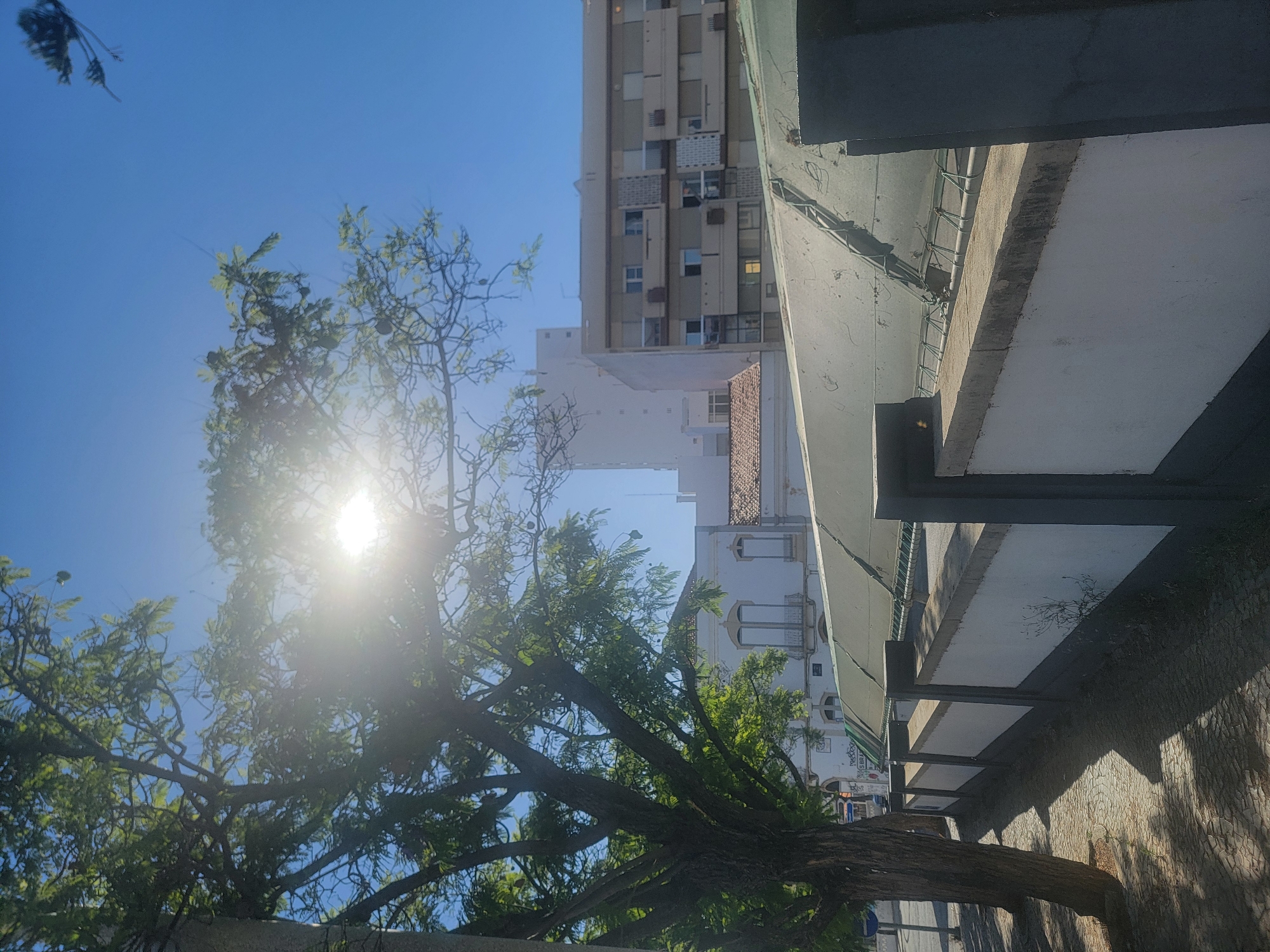 The image depicts a sun-drenched street scene in Faro, Portugal. In the foreground, a large tree with green leaves partially obscures the bright sun, casting dappled shadows on a patterned cobblestone sidewalk. A low white wall with dark grey concrete posts lines the edge of the sidewalk, separating it from a covered area with a translucent, possibly fabric, roof supported by a metal frame. Beyond the wall and covered area, several buildings are visible. To the left, a white building with arched windows and balconies suggests a more traditional architectural style. Further back, a tall, modern apartment building with multiple balconies is prominent, as is a lighter colored, possibly taller, building behind it. The sky is a clear, bright blue, indicative of fair weather. The scene appears to be a public urban space.
