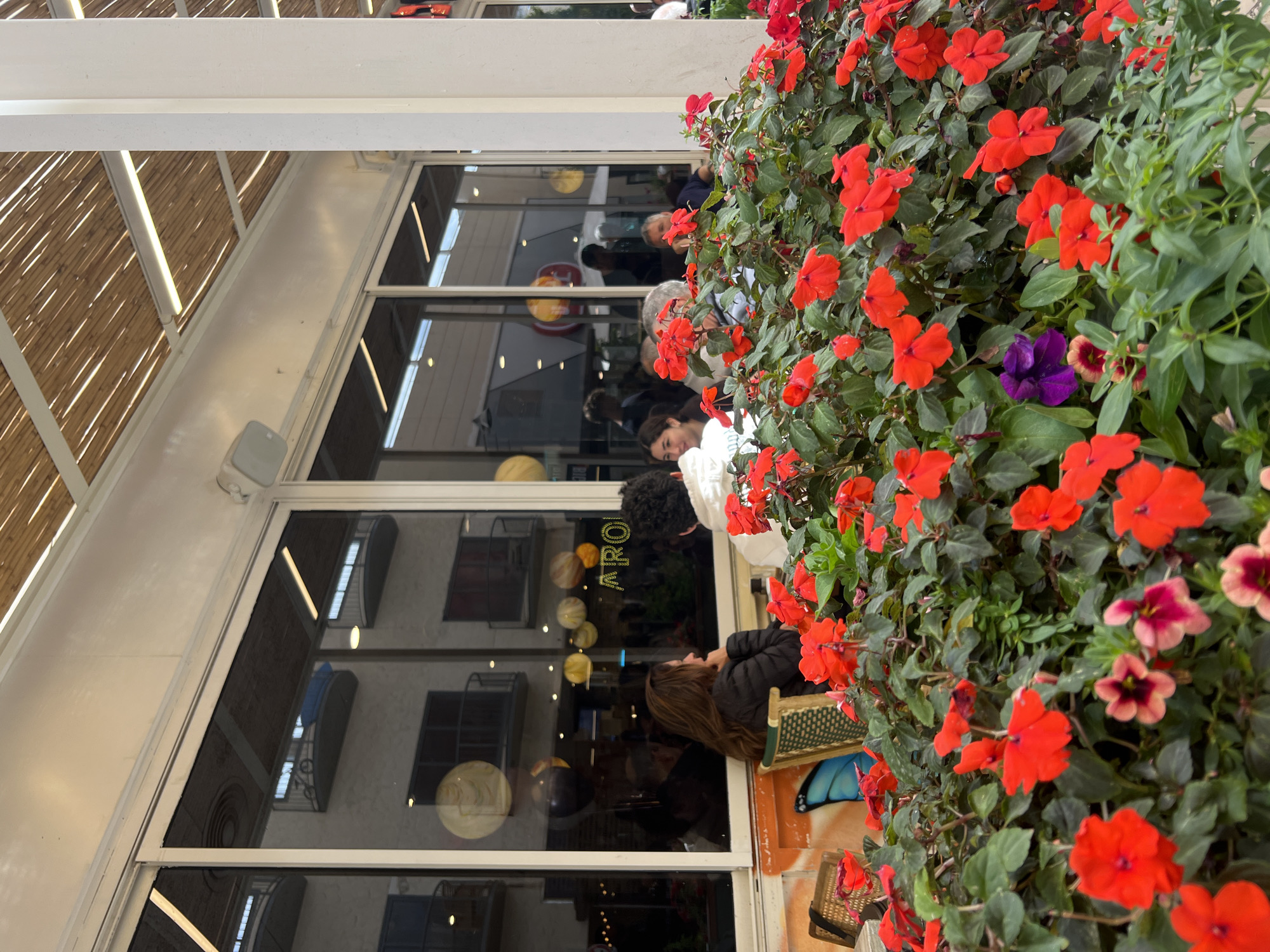 The scene depicts an outdoor cafe seating area in Kiryat Bialik, Israel. The immediate foreground is dominated by a dense cluster of flowering plants, primarily red blooms with some purple and pink variations, set amidst green foliage. Behind this floral arrangement, multiple individuals are seated at tables adjacent to a commercial establishment. On the left, a woman with long brown hair, dressed in a dark jacket, is seated in a patterned chair, facing towards the right. Next to her, a person in a white hoodie is seated with their back partially to the camera. Other patrons, including a man with gray hair and another individual smiling, are partially visible further to the right, obscured by the foliage.
The establishment's facade features large glass windows that reflect an opposing building with balconies. Spherical decorative objects are visible within the cafe's interior, and the partial orange lettering "ARO," indicative of a business name, is visible through the glass. Below the windows on the left, an orange-painted lower wall section features a partial blue butterfly graphic. An outdoor speaker is mounted on the wall above the window line. Overhead, a slatted awning, possibly constructed from bamboo or wood, provides shelter and incorporates linear lighting fixtures. A white structural column supports this overhead structure on the right side of the frame.