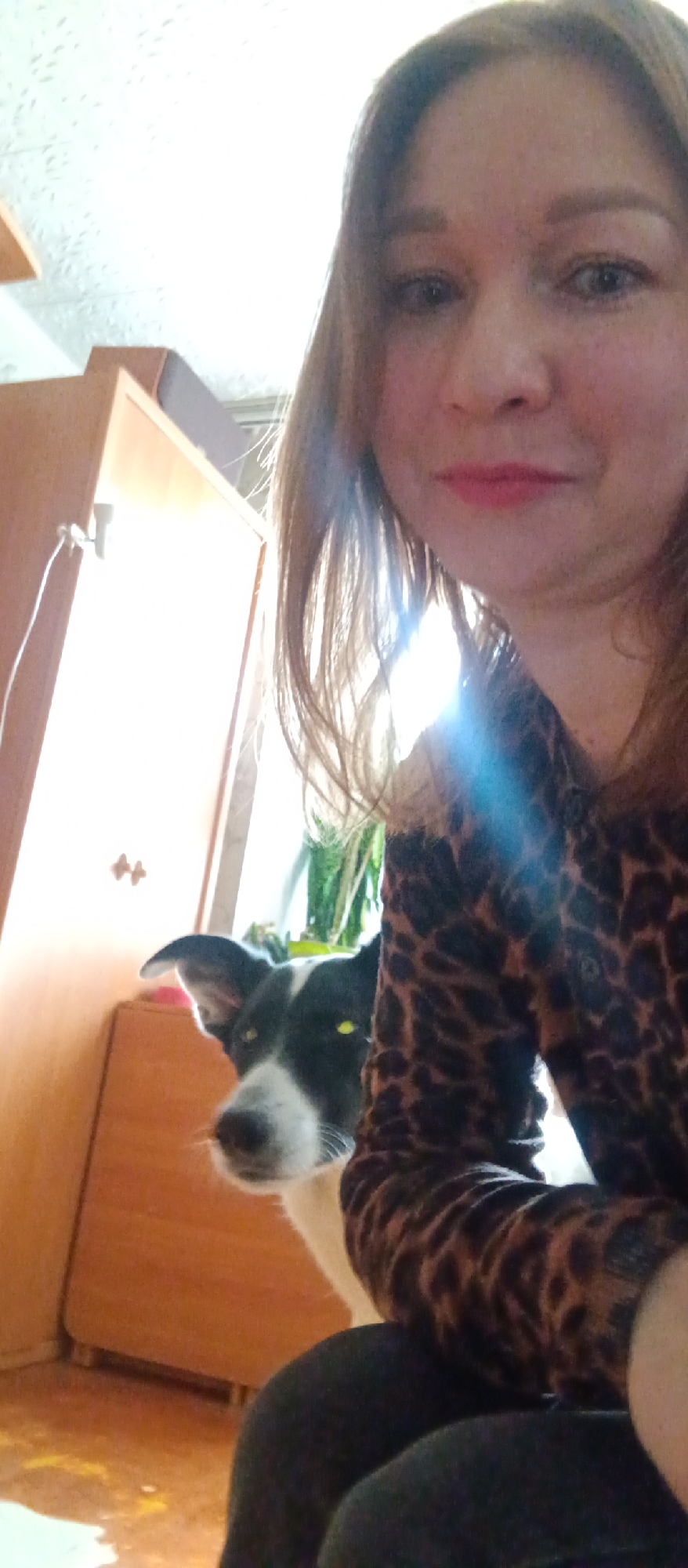 A woman with reddish-brown hair and a printed brown and black shirt is in a room, with a black and white dog visible near her left side. Behind her, a wooden cabinet stands in the background. The location is an unknown city.