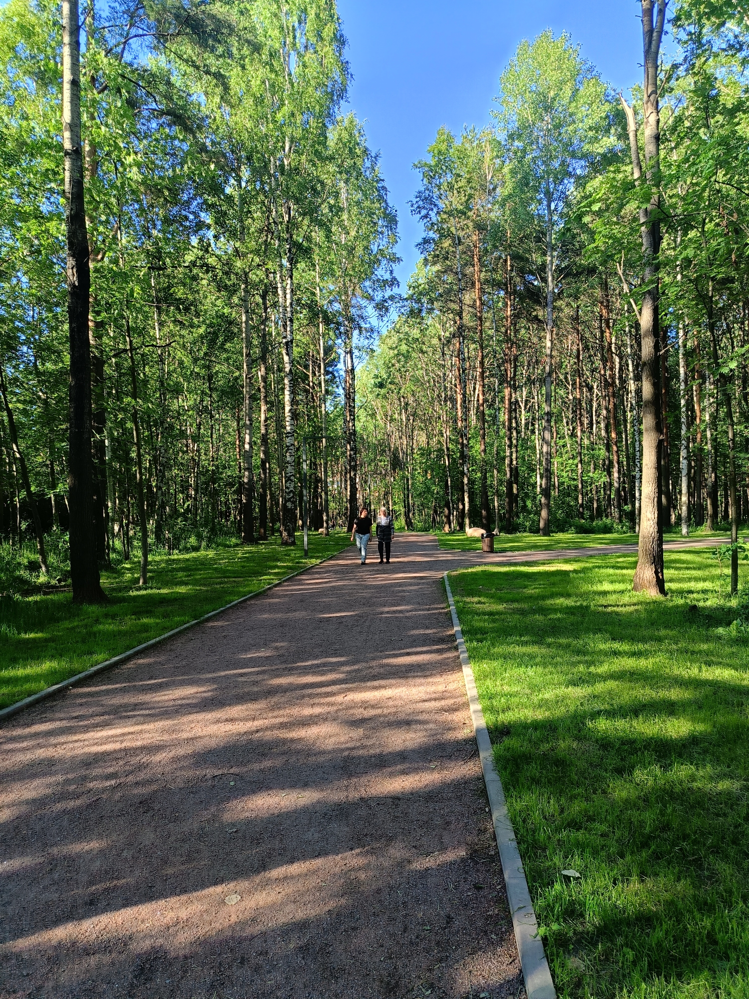 The image depicts a sun-dappled pathway in a park in Saint Petersburg, Russia. Two individuals, a man and a woman, are walking away from the camera on the pathway, which is made of gravel and bordered by manicured green grass. Tall trees with lush green foliage line both sides of the pathway, creating a tunnel-like effect. The sky is clear and blue. In the distance, a trash receptacle is visible on the right side of the pathway. The overall scene is one of tranquility and natural beauty within an urban setting.