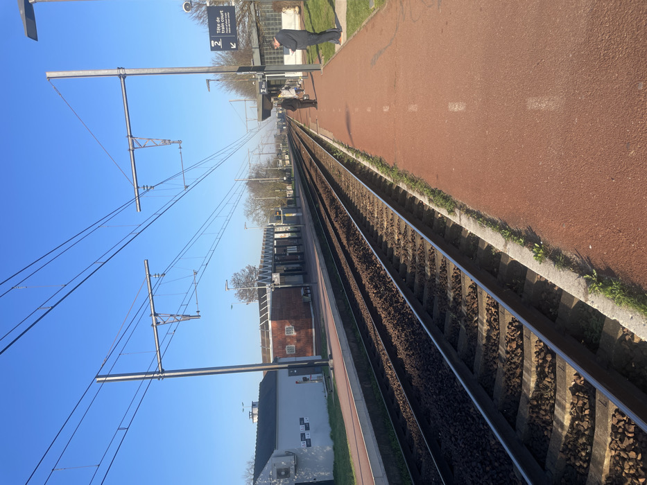 This image depicts a train station platform at Plaisir-Grignon station in Plaisir, France, under a clear blue sky. The view is along the length of two parallel train tracks, receding into the distance.
In the immediate foreground, a reddish-brown textured platform surface is visible, featuring white dashed lines. A concrete curb with sparse grass and weeds separates this platform from the tracks. Two sets of active railway tracks, composed of steel rails, wooden sleepers, and gravel ballast, run parallel from the foreground to the horizon.
On the right platform, in the mid-ground, a metal pole supports a blue informational sign with a white arrow pointing left and text indicating "2 Tête de train court" (Platform 2, Short train head) with additional smaller text below. Adjacent to the sign, a male individual in a dark jacket and trousers stands, appearing to look at a mobile device. Further down the platform, a group of three individuals, including two adults and one smaller figure, are gathered. One adult wears a dark coat, the other a light-colored coat. Overhead, a complex network of catenary wires for electric traction is suspended by multiple tall metal poles.
On the opposite side of the tracks, a second, parallel platform is visible. This platform features a small building with a reddish-brown base and a lighter-colored roof, likely a station shelter or utility building. Another smaller, white-walled building with a dark roof is situated further left on the same platform. The background reveals distant trees and faint outlines of structures, suggesting a suburban or semi-rural environment. The scene is brightly illuminated by daylight, casting shadows towards the right.