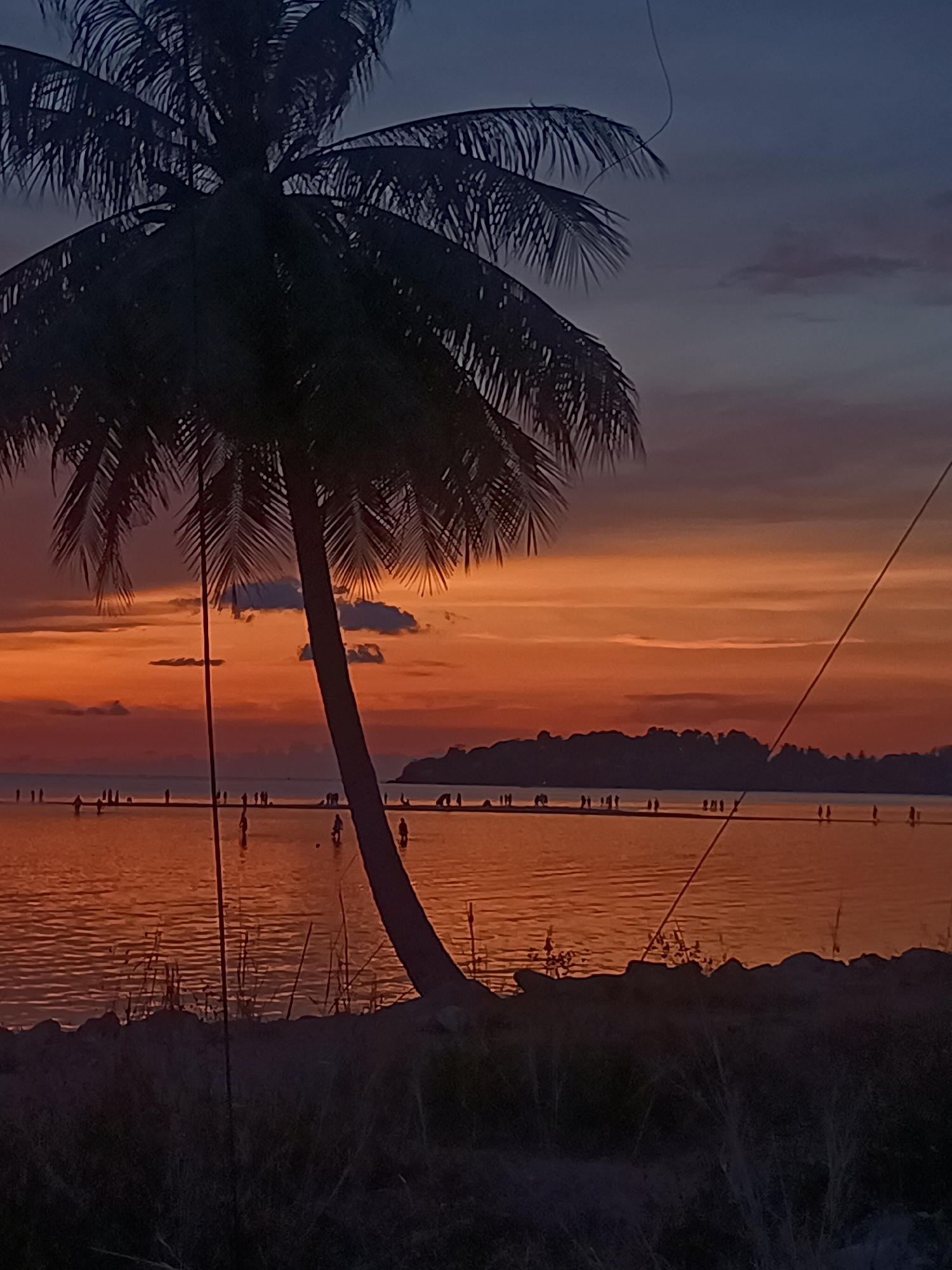 The image shows a sunset at the beach in Baan Sri Thanu, Thailand. A palm tree is silhouetted in the foreground. The sky is a mix of dark blue and orange. People are silhouetted walking in the water. A landmass is visible in the distance. The foreground vegetation is dark.