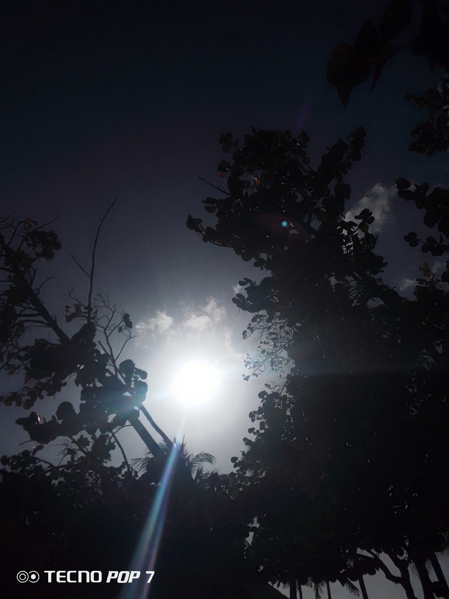 The image depicts a scene in Pedro González, Venezuela, where the sun is shining brightly through the branches of silhouetted trees. The sky is a dark hue, possibly indicating either twilight or a poorly exposed photograph. Clouds are visible around the sun. The foreground is dominated by the dark silhouettes of the trees and foliage. Lens flare artifacts are present. The lower-left corner displays the text "TECNO POP 7".